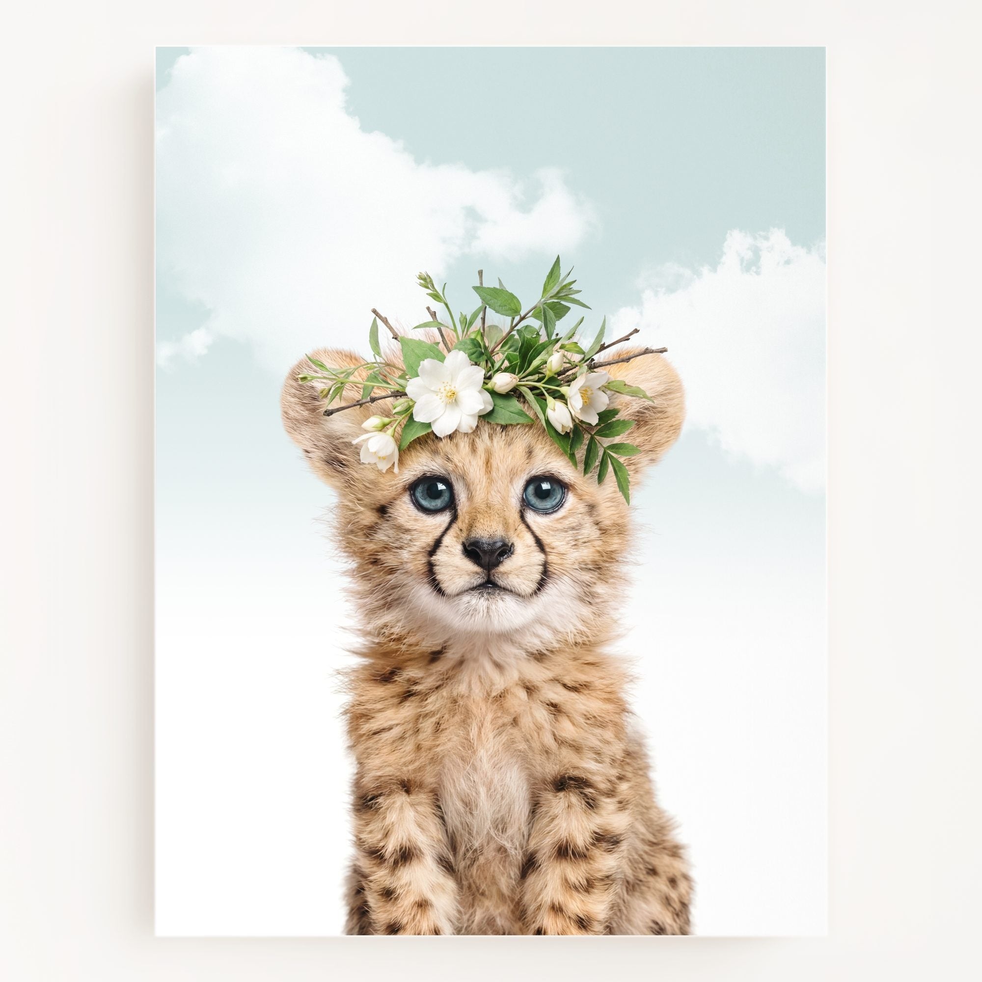 Baby Cheetah