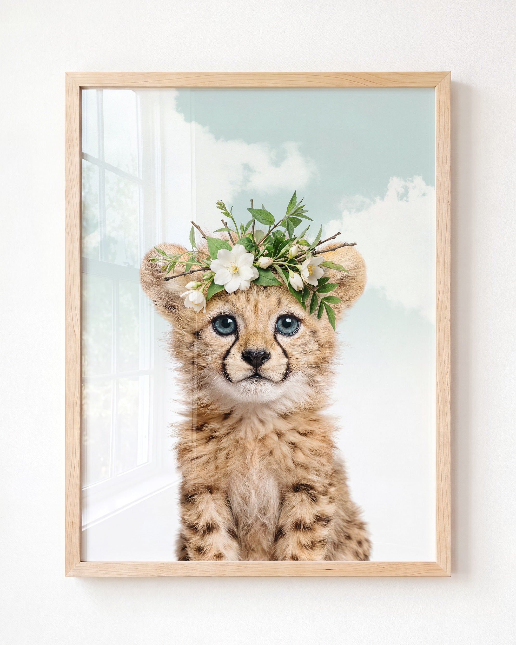 Baby Cheetah