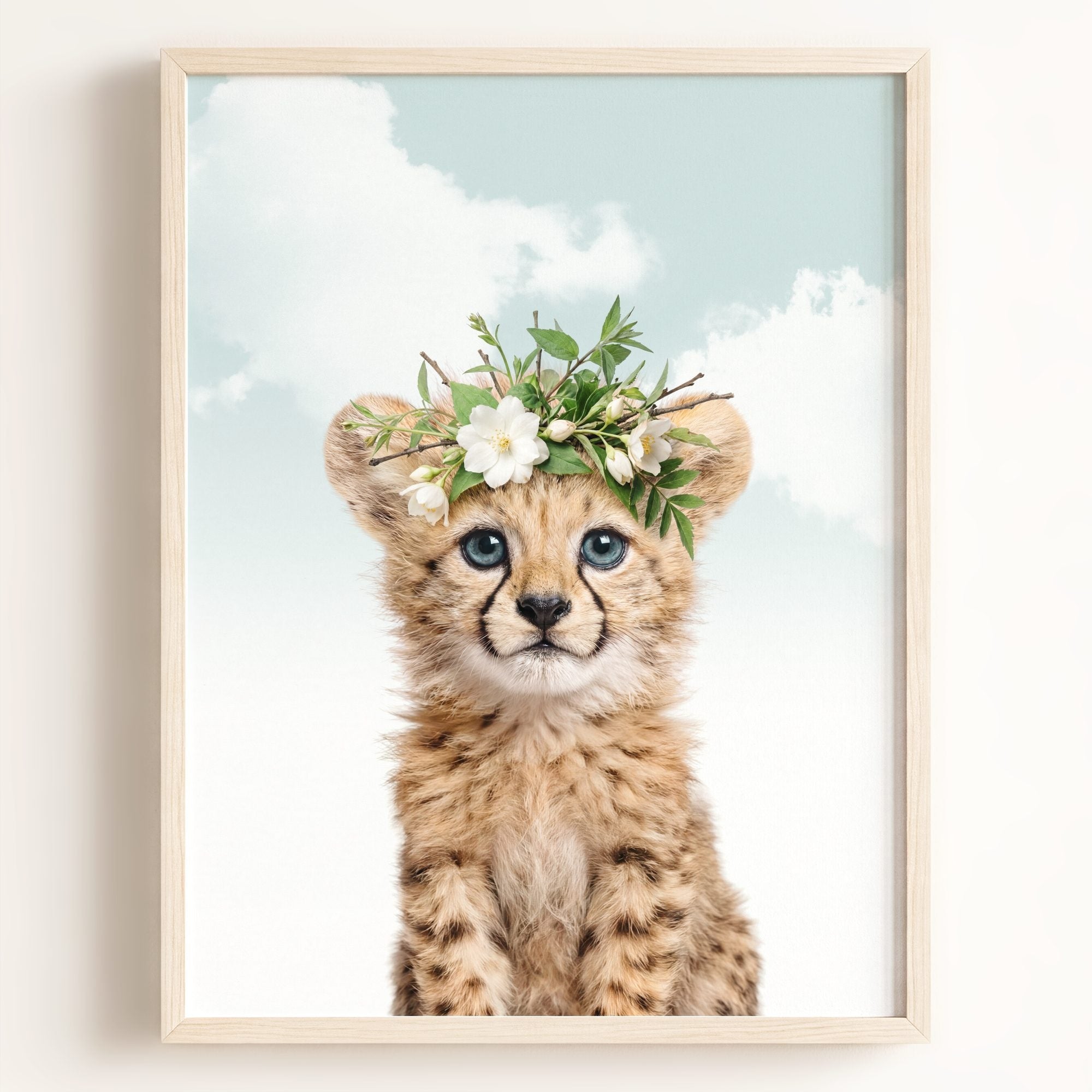Baby Cheetah