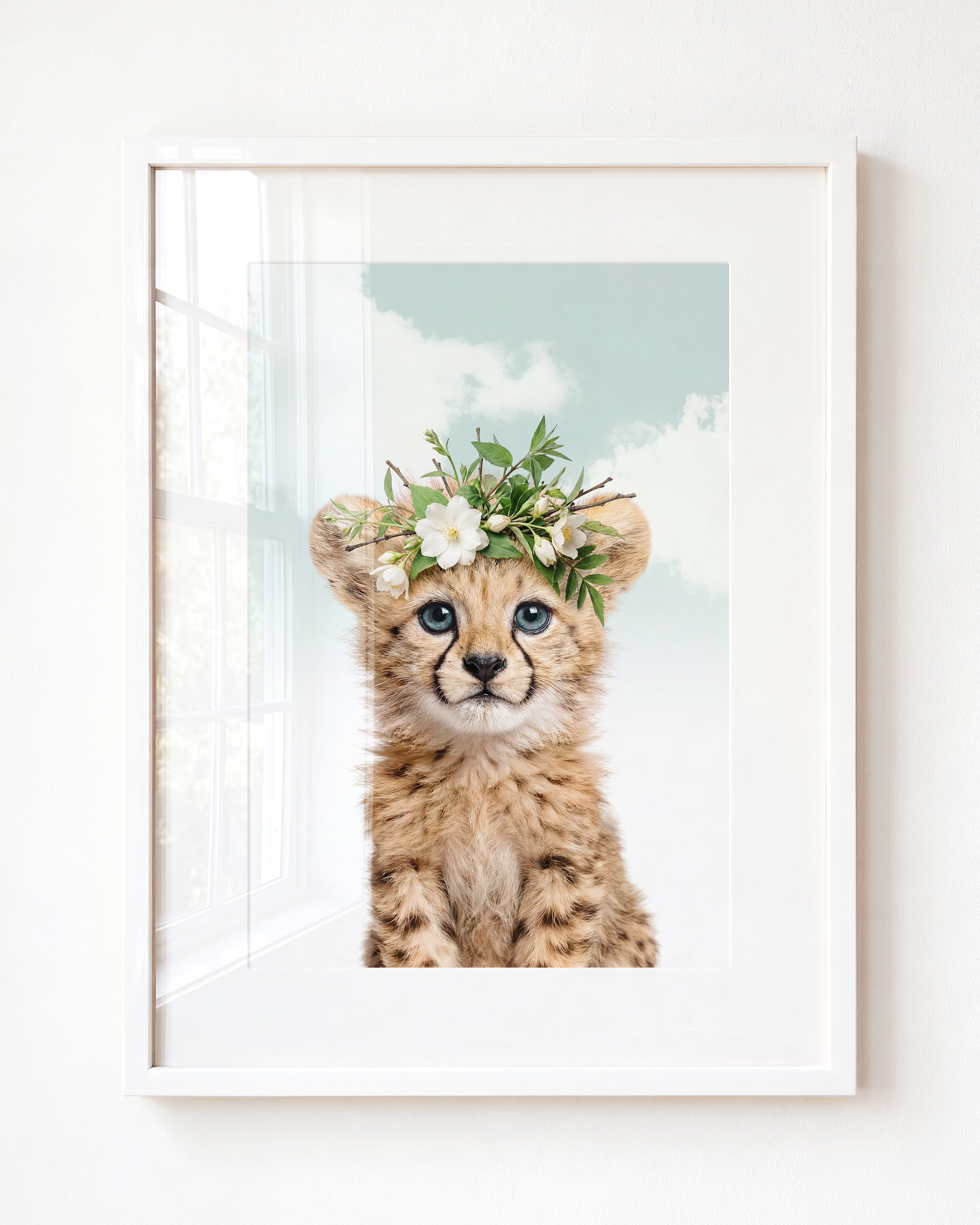 Baby Cheetah