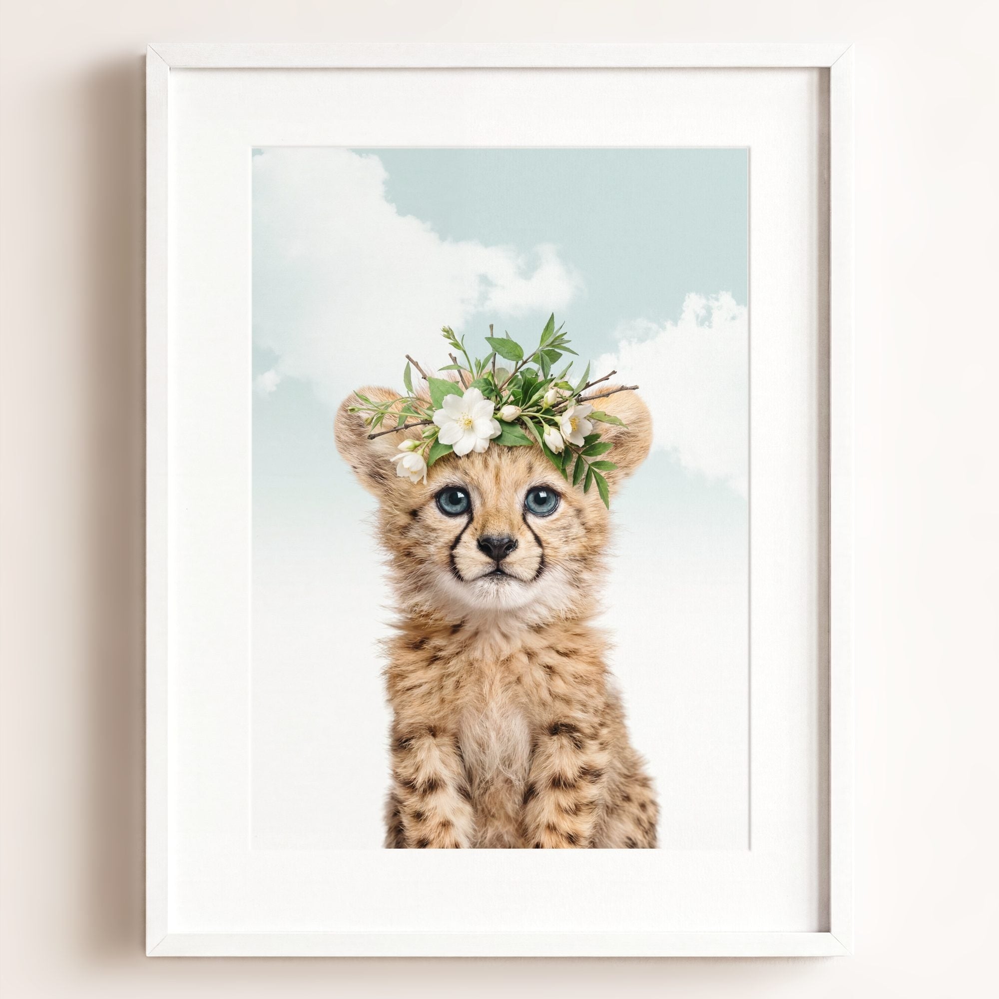 Baby Cheetah
