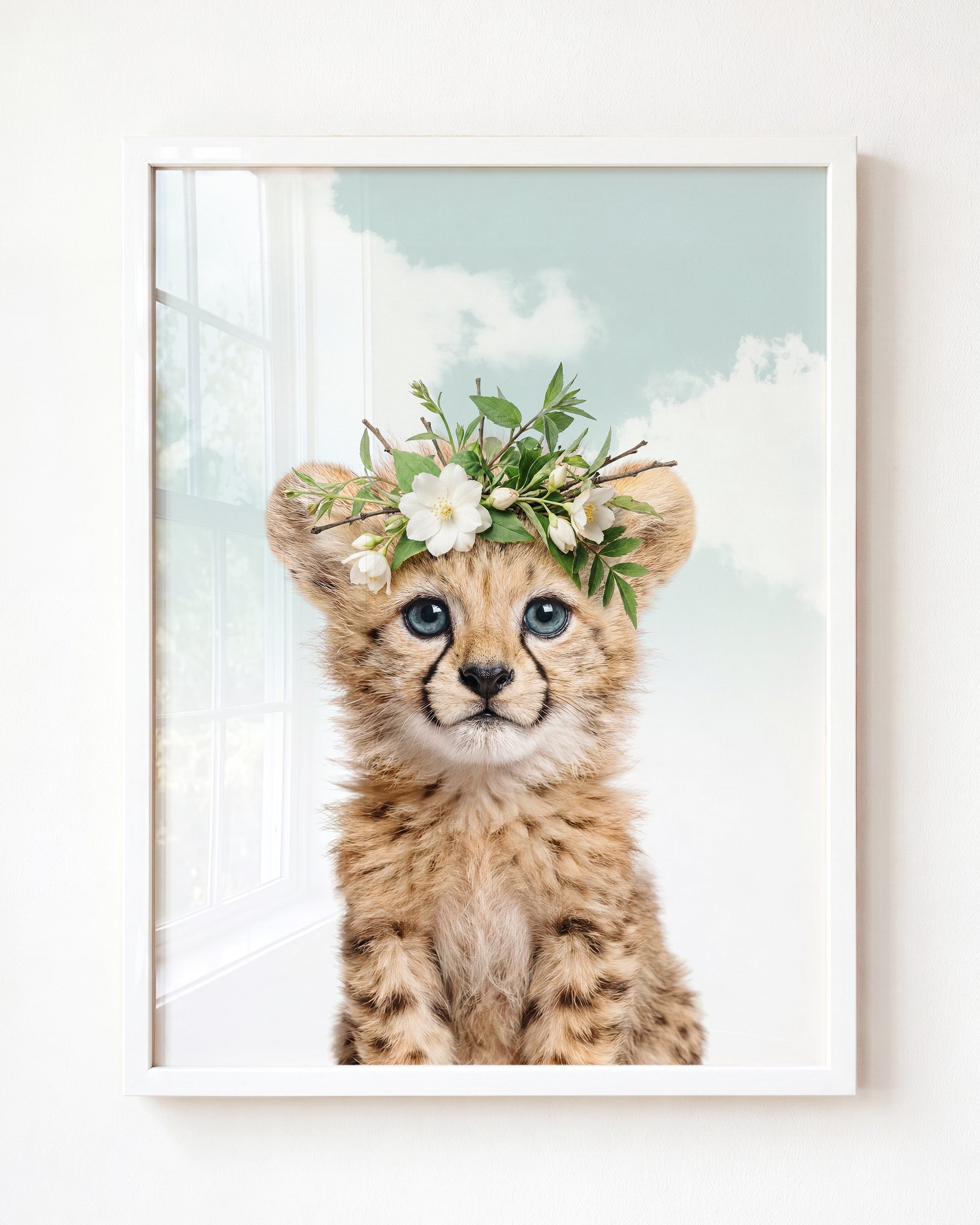 Baby Cheetah