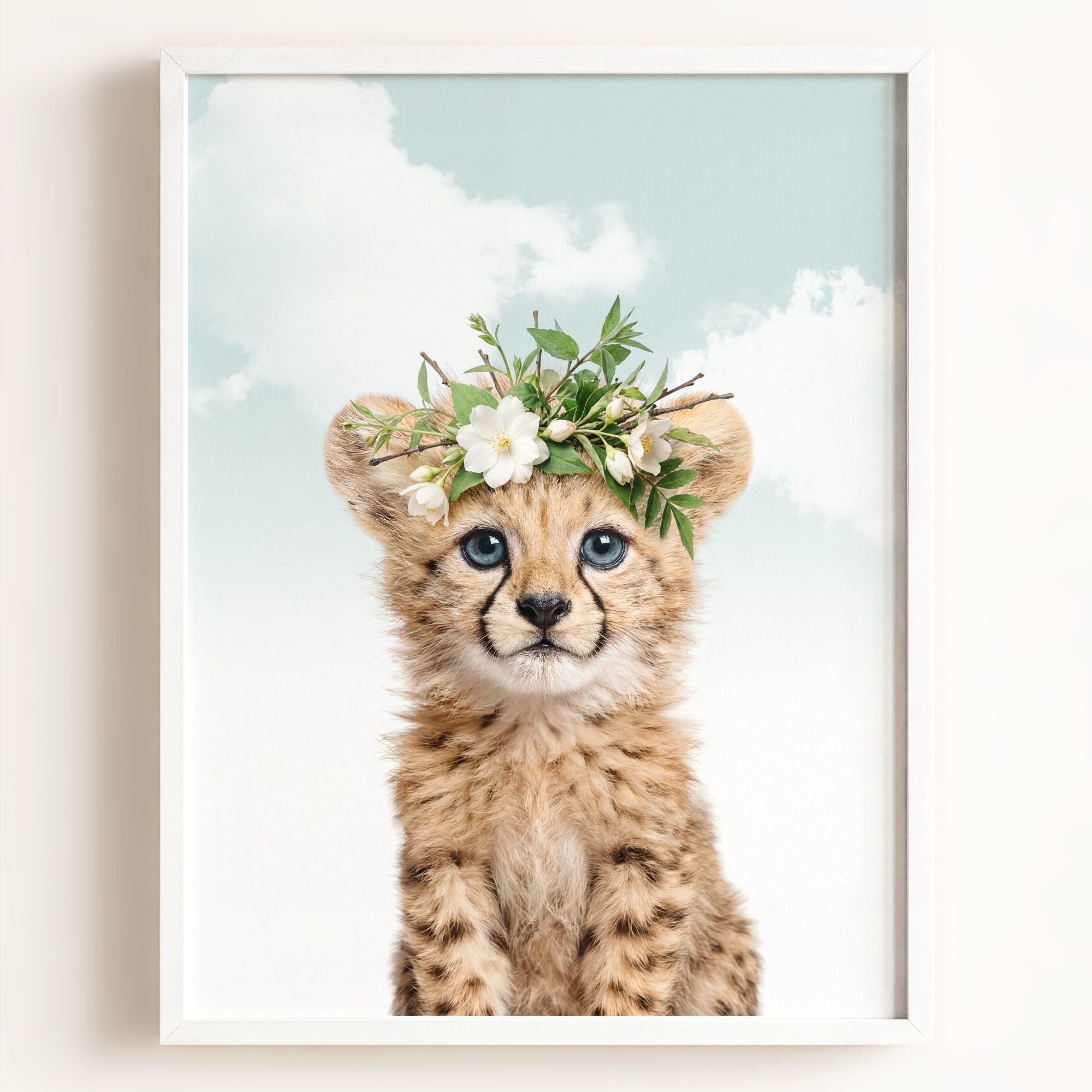 Baby Cheetah