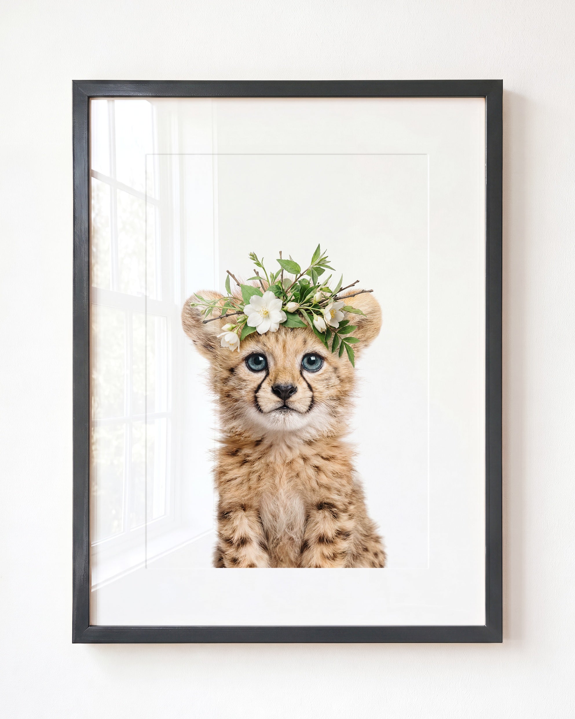 Baby Cheetah