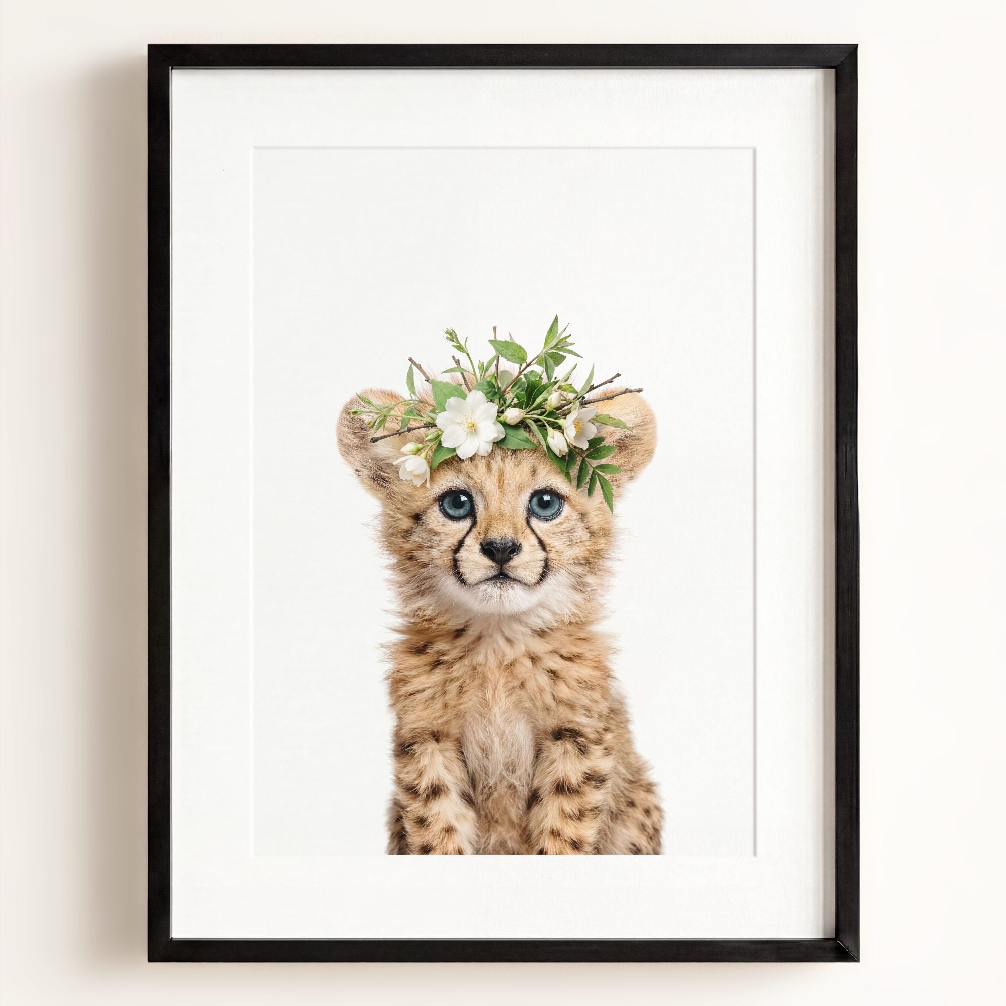 Baby Cheetah
