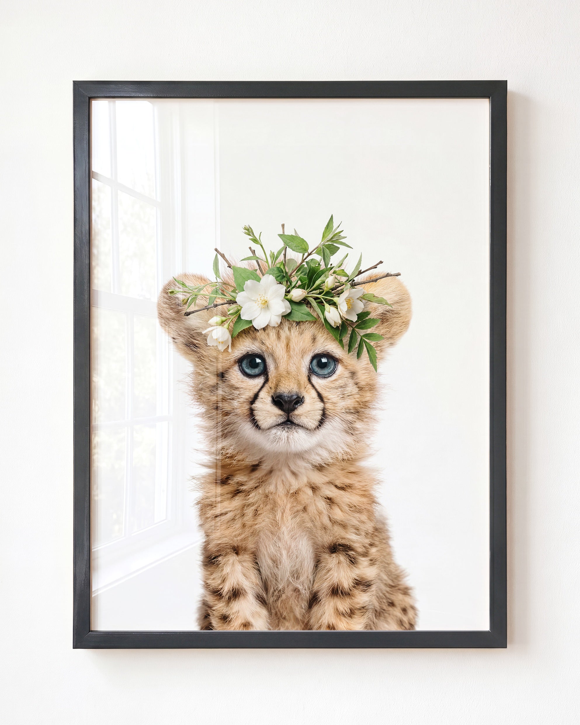 Baby Cheetah