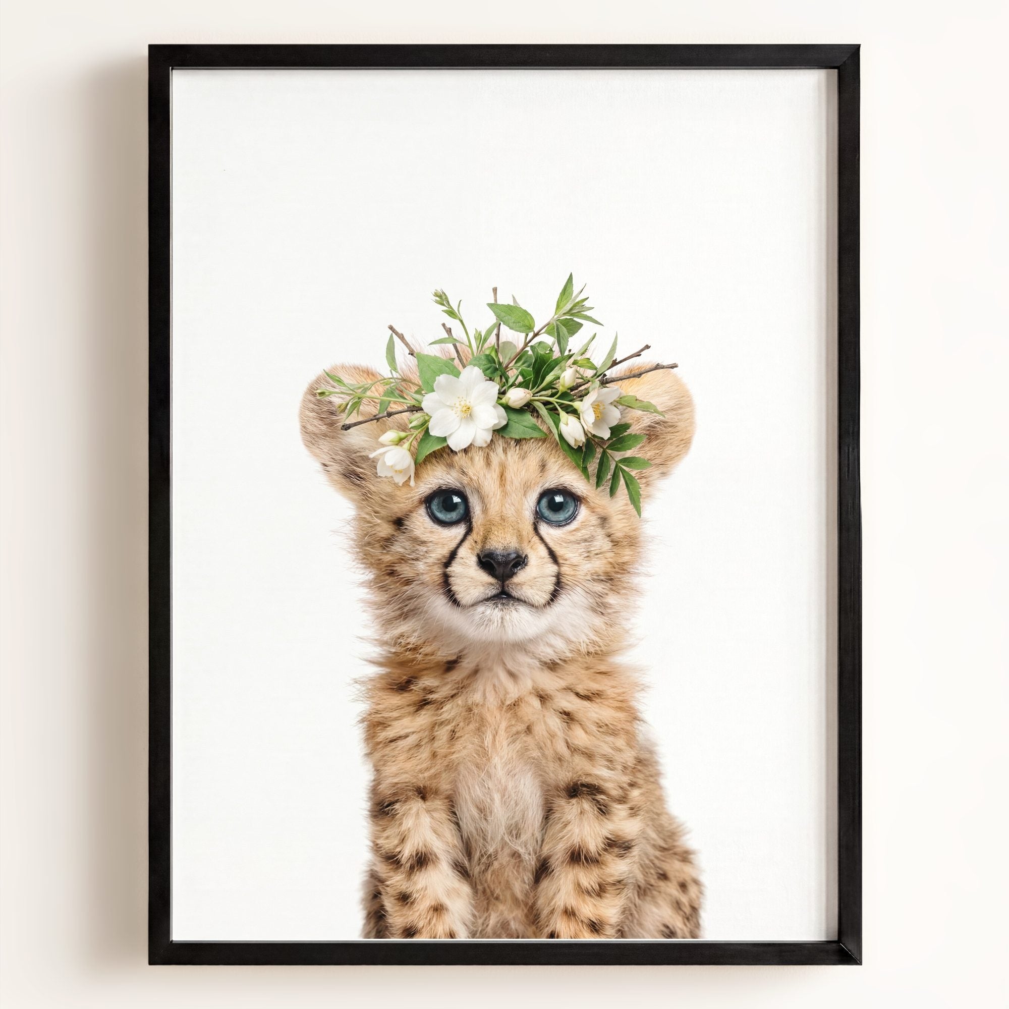 Baby Cheetah