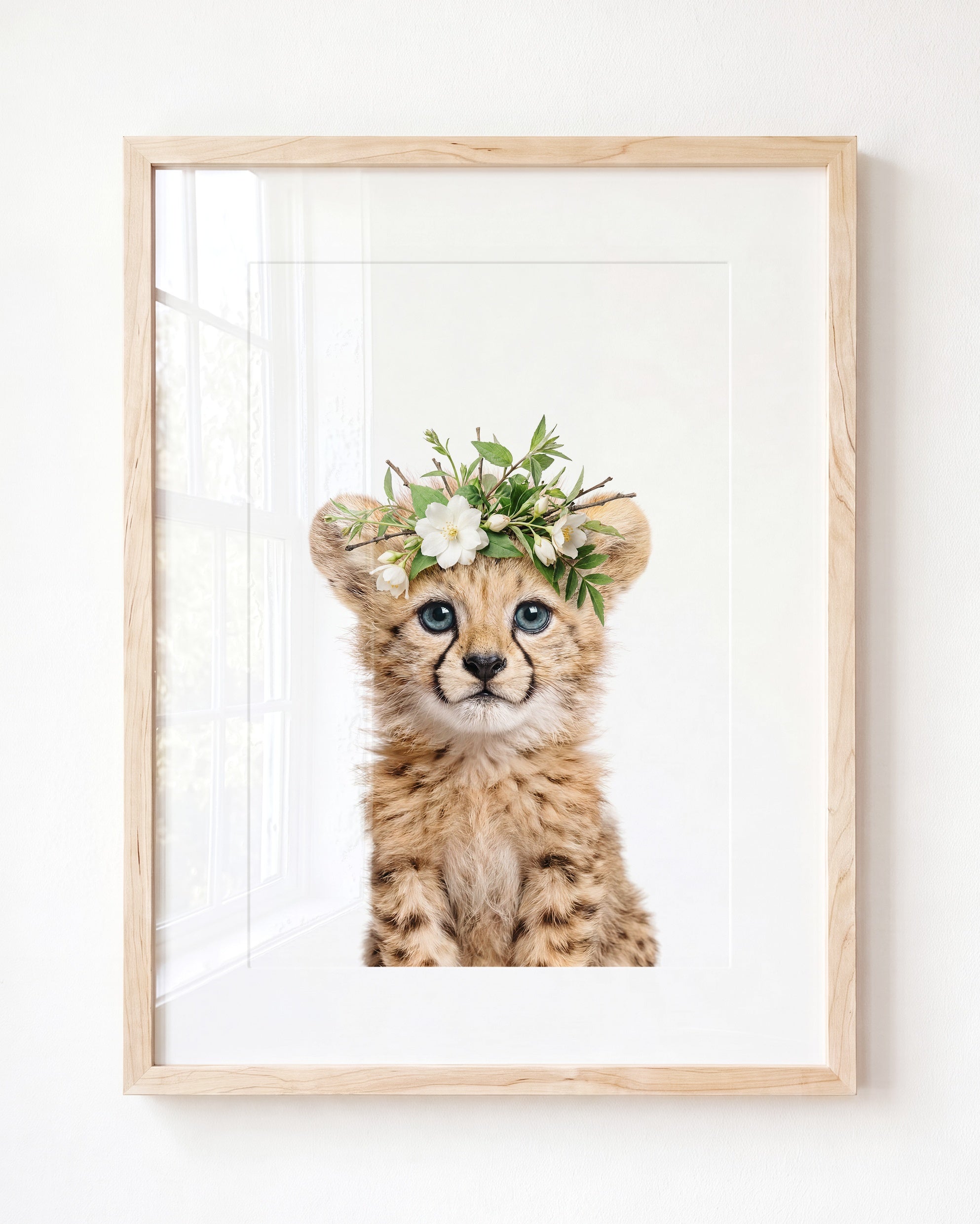 Baby Cheetah
