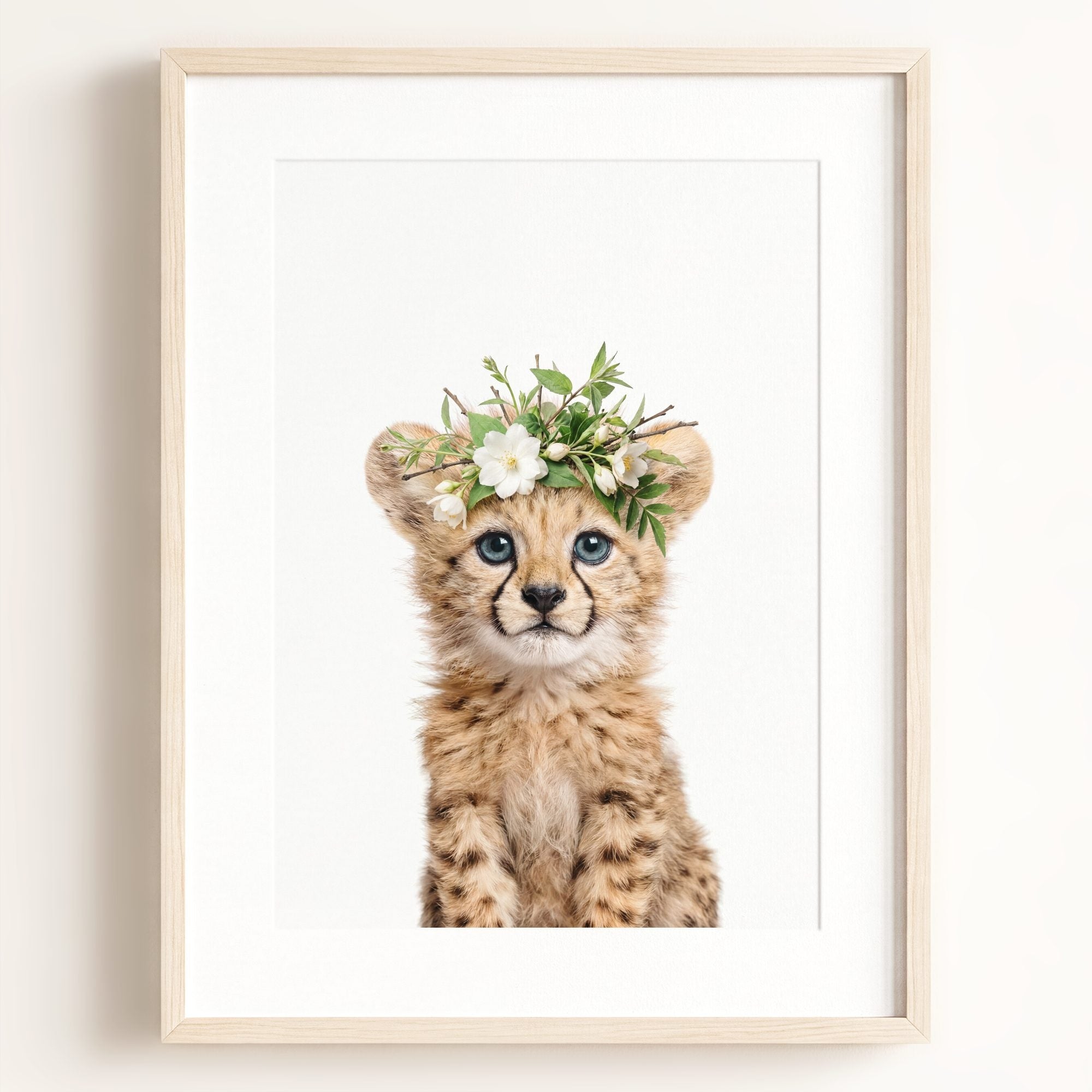 Baby Cheetah