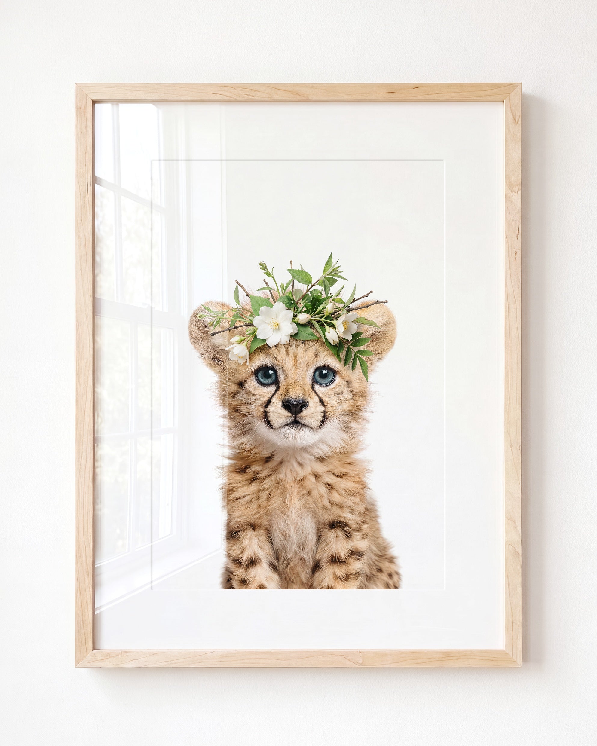 Baby Cheetah