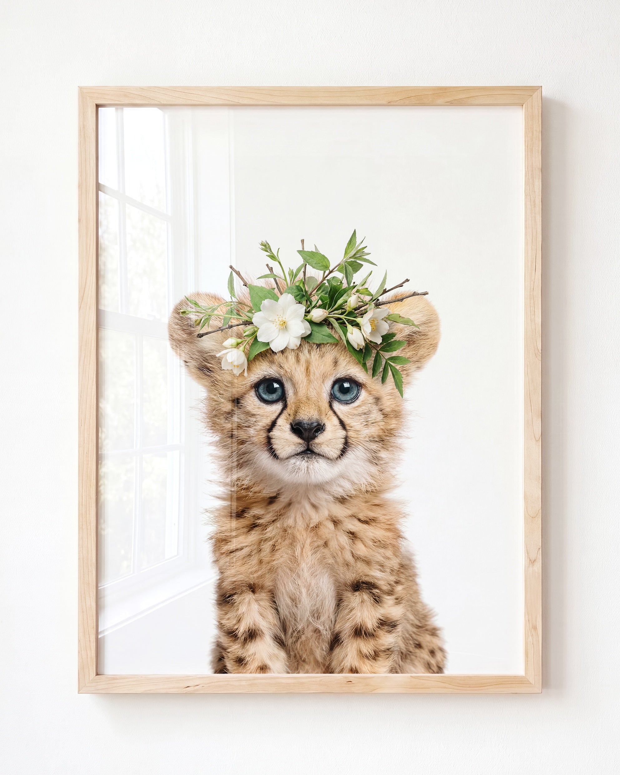Baby Cheetah