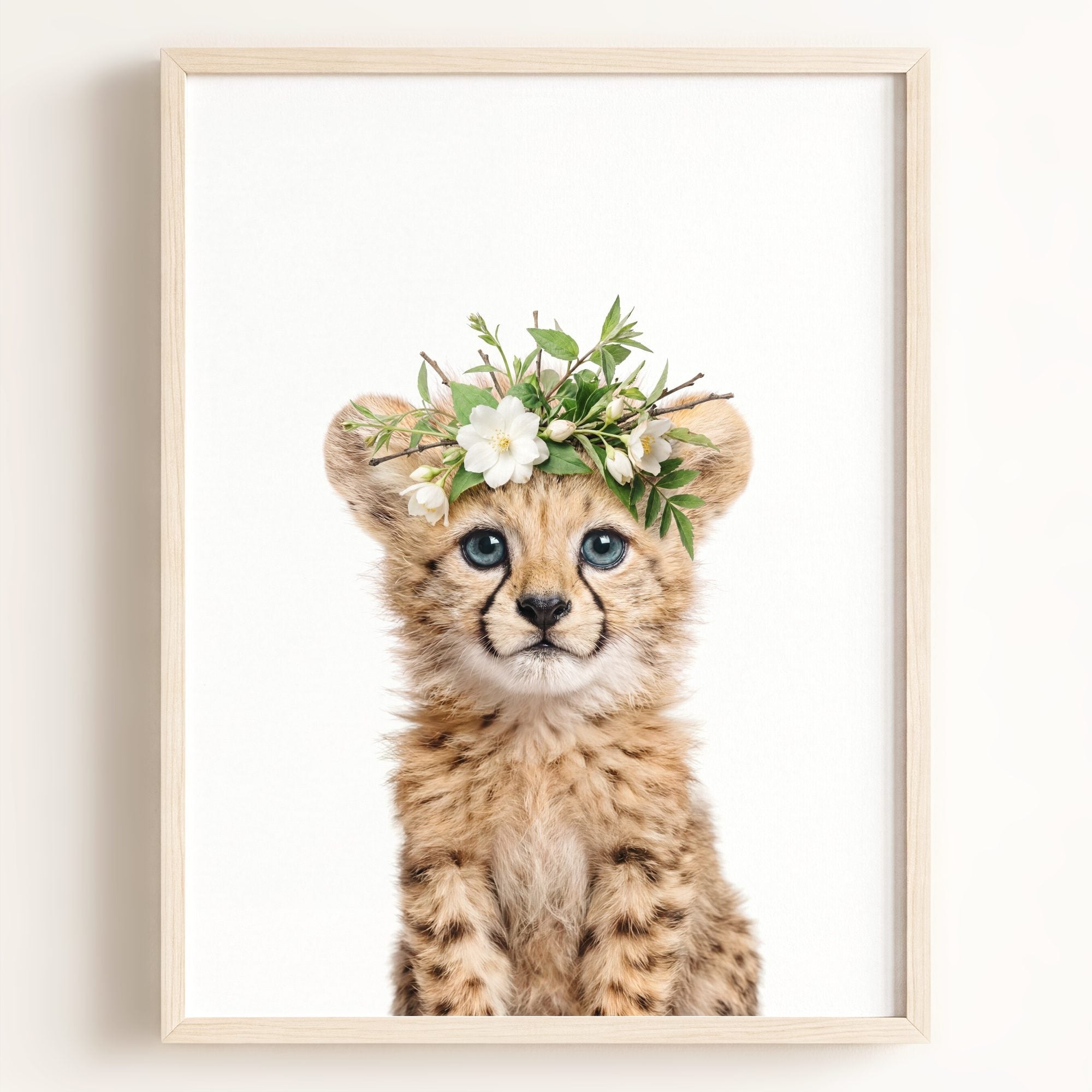 Baby Cheetah