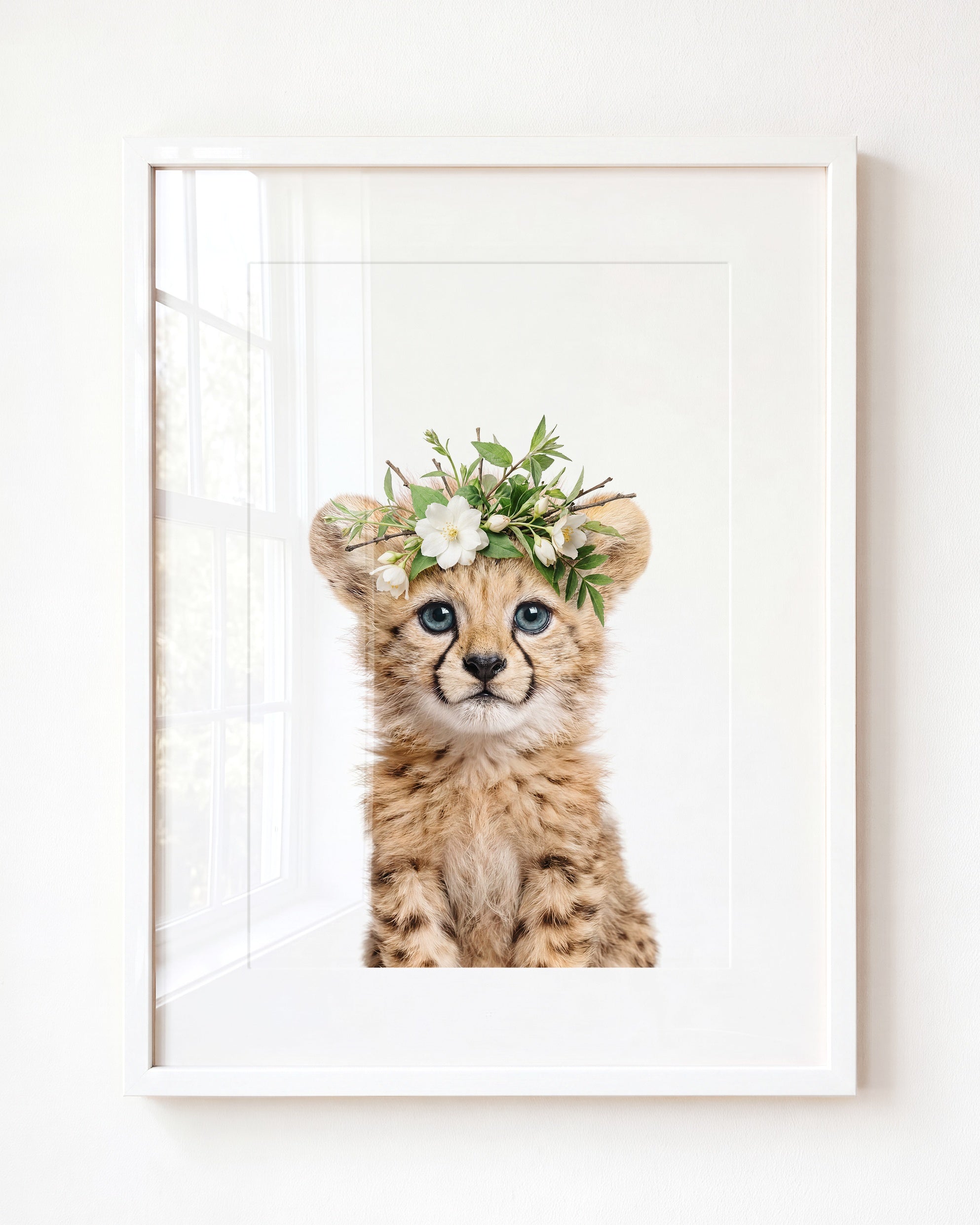 Baby Cheetah