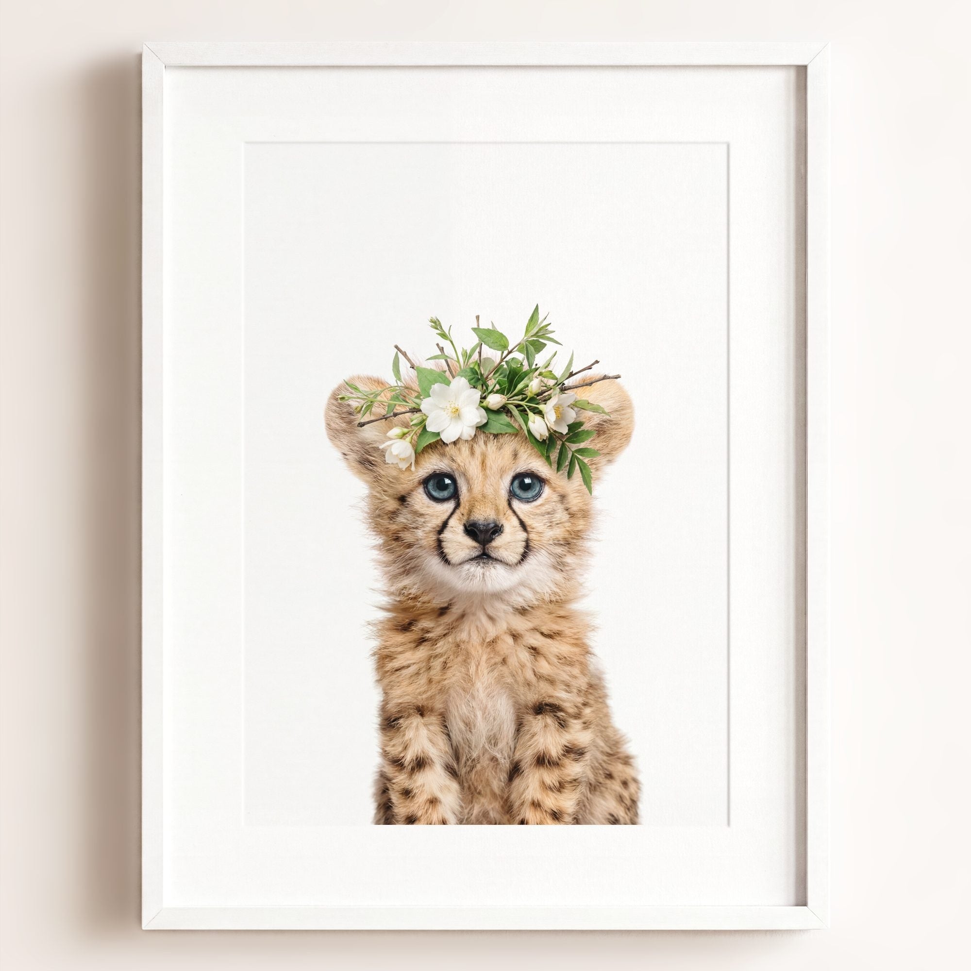 Baby Cheetah