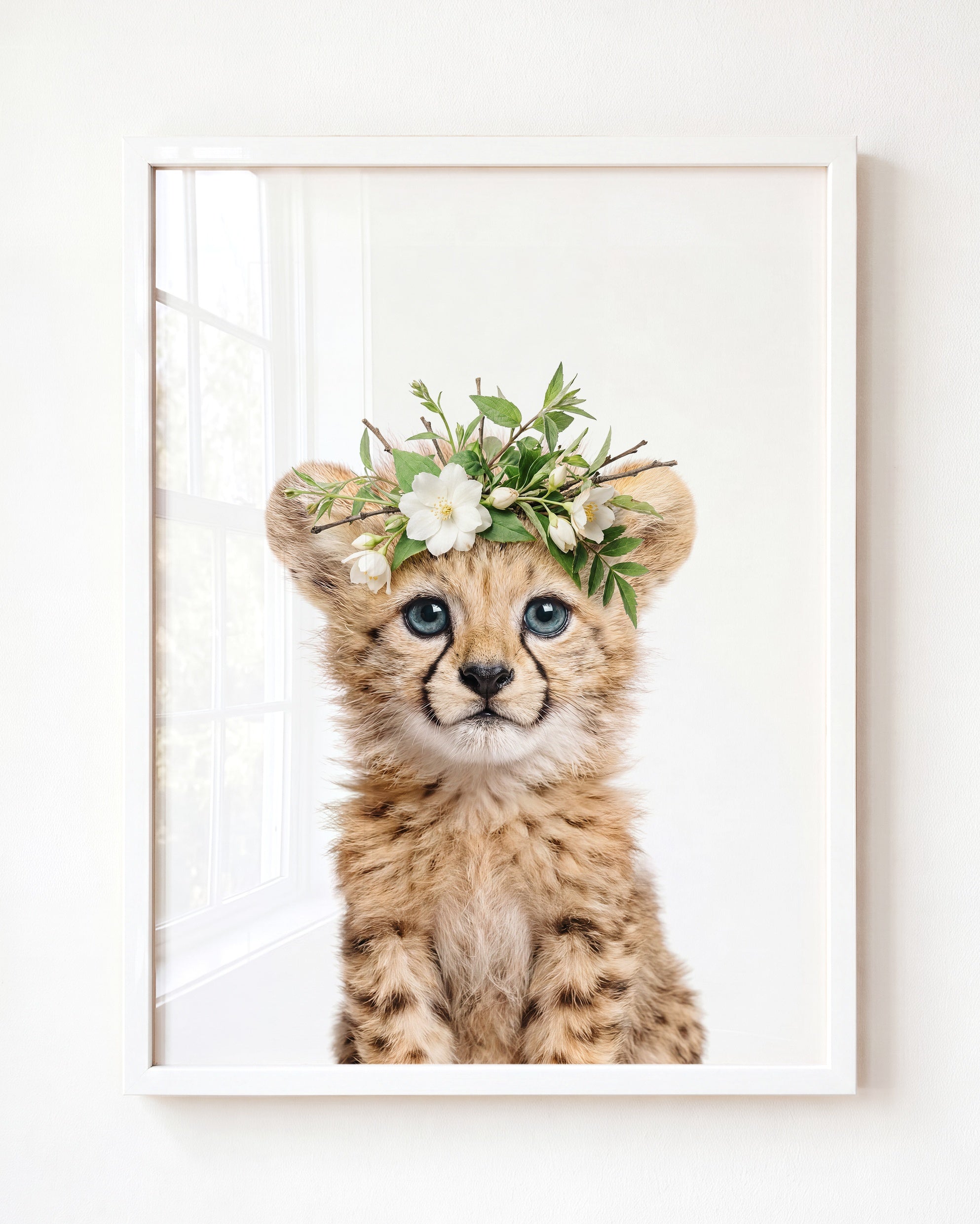Baby Cheetah