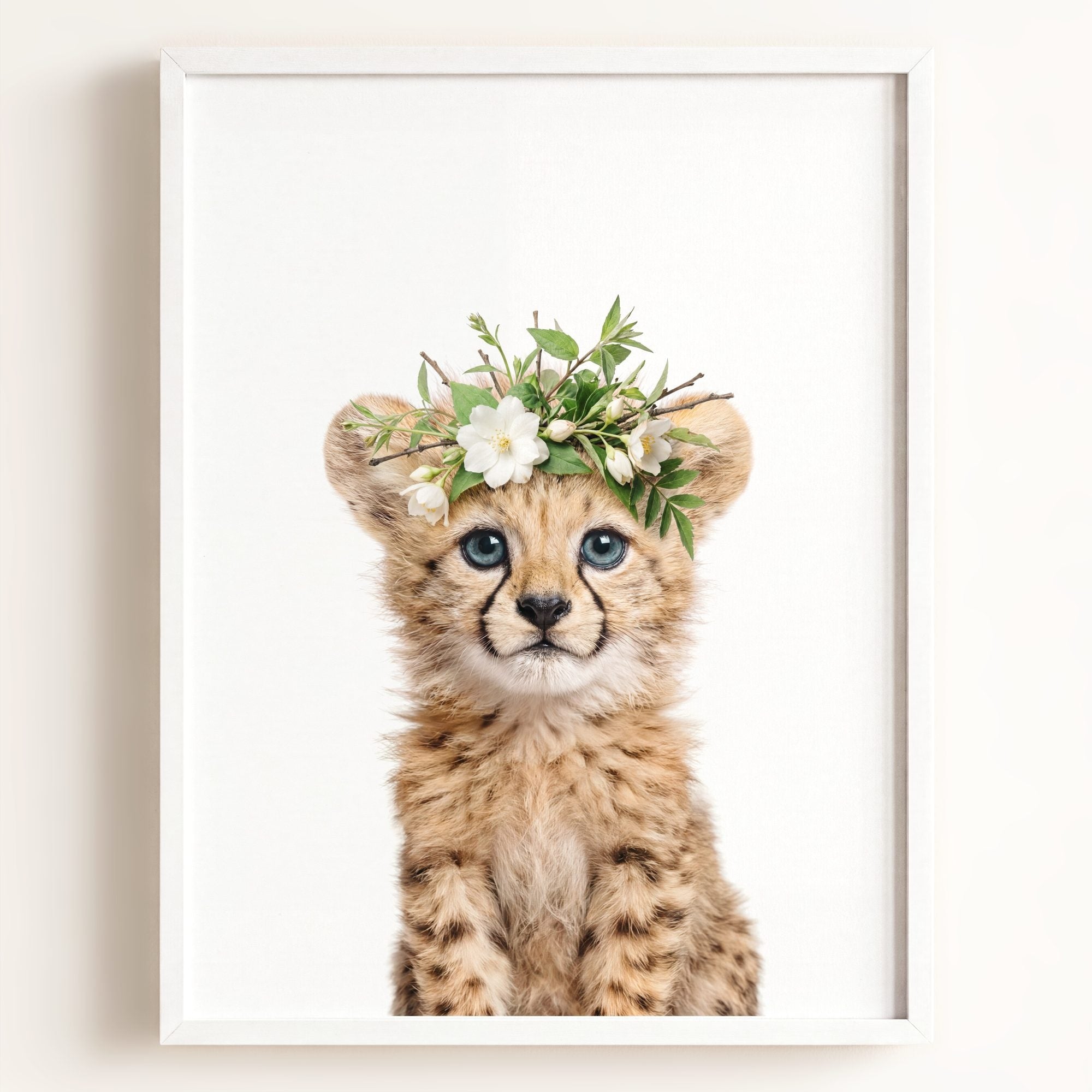 Baby Cheetah
