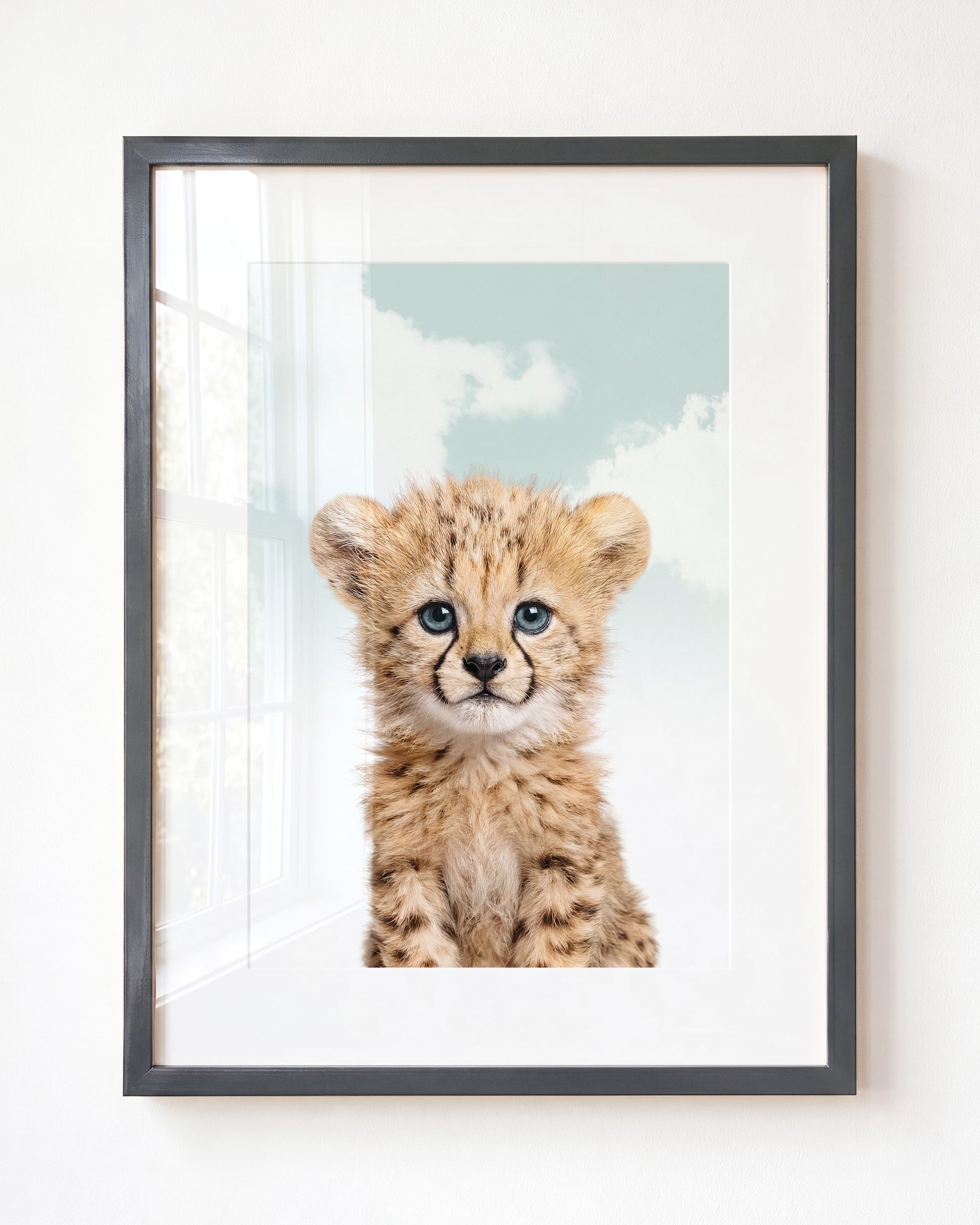 Baby Cheetah