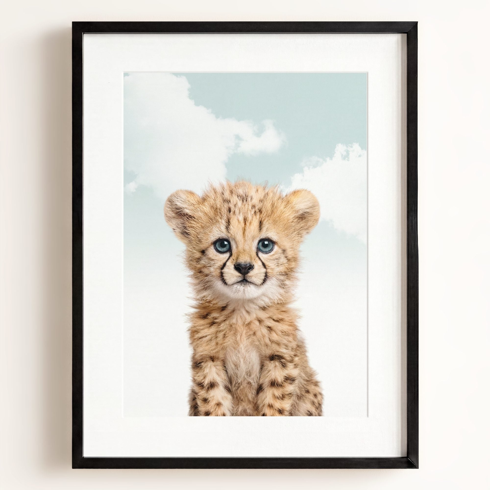 Baby Cheetah