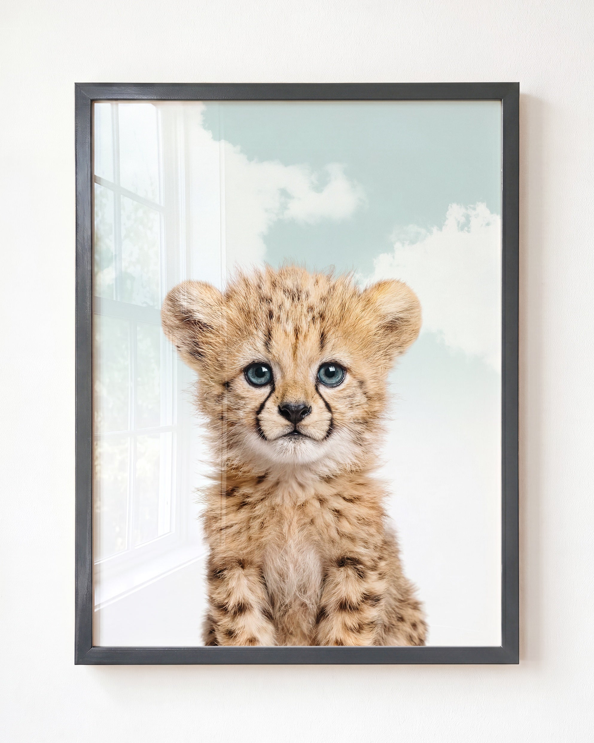 Baby Cheetah