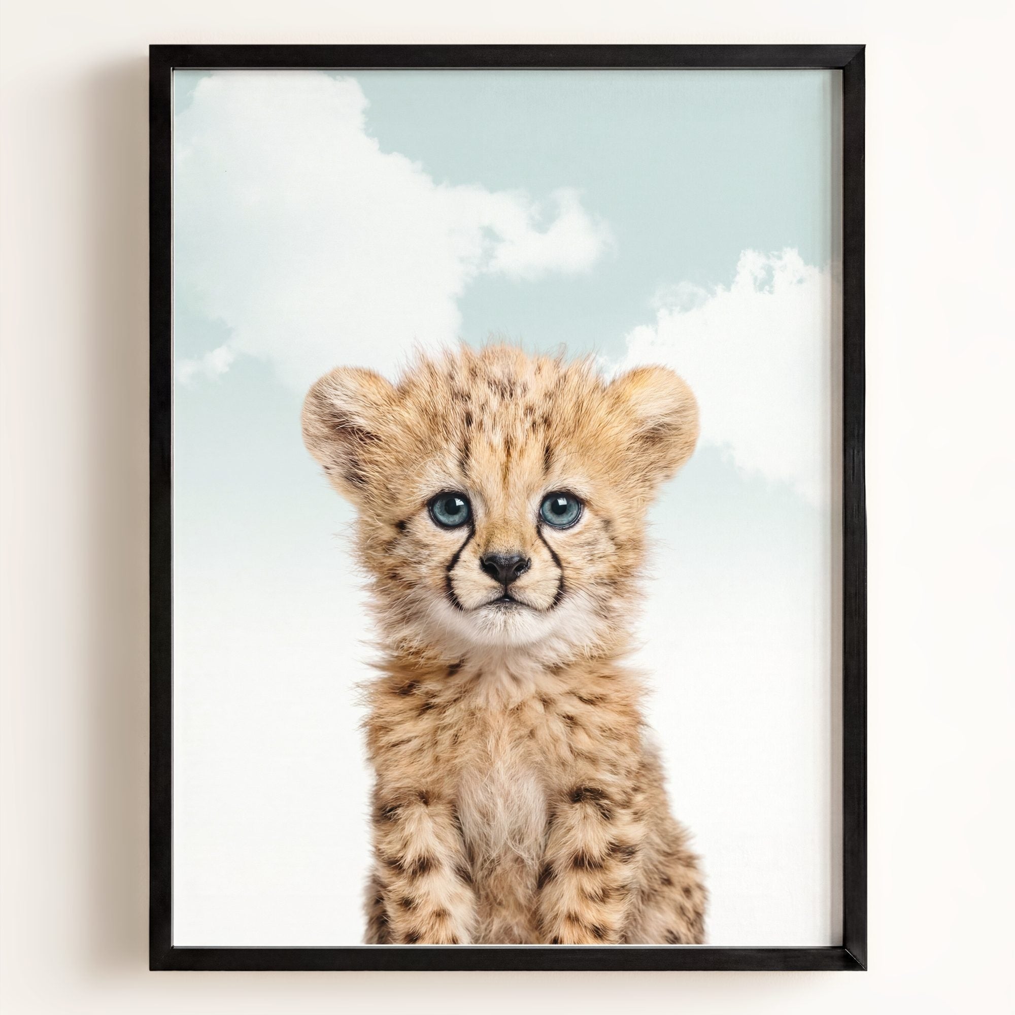 Baby Cheetah