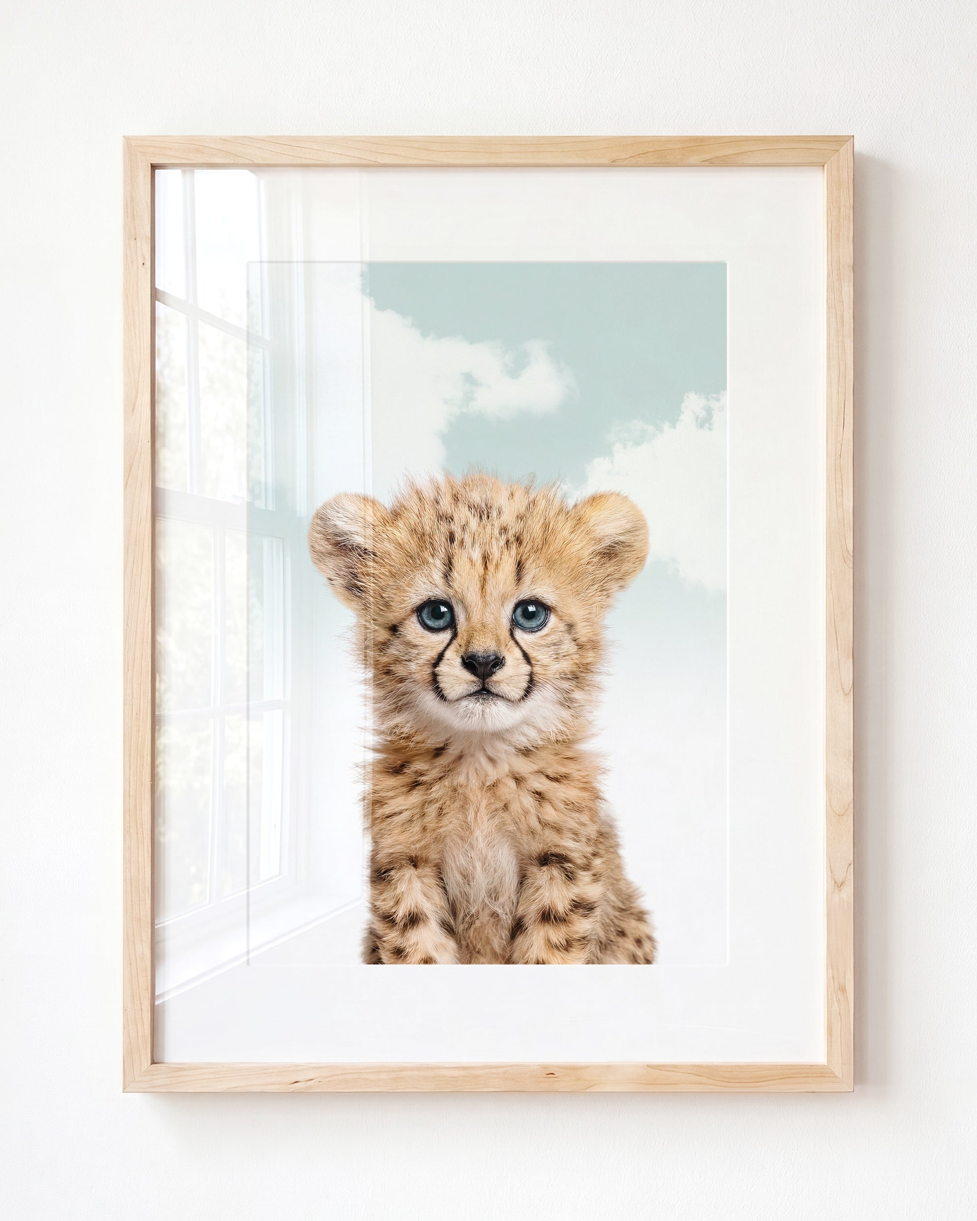 Baby Cheetah