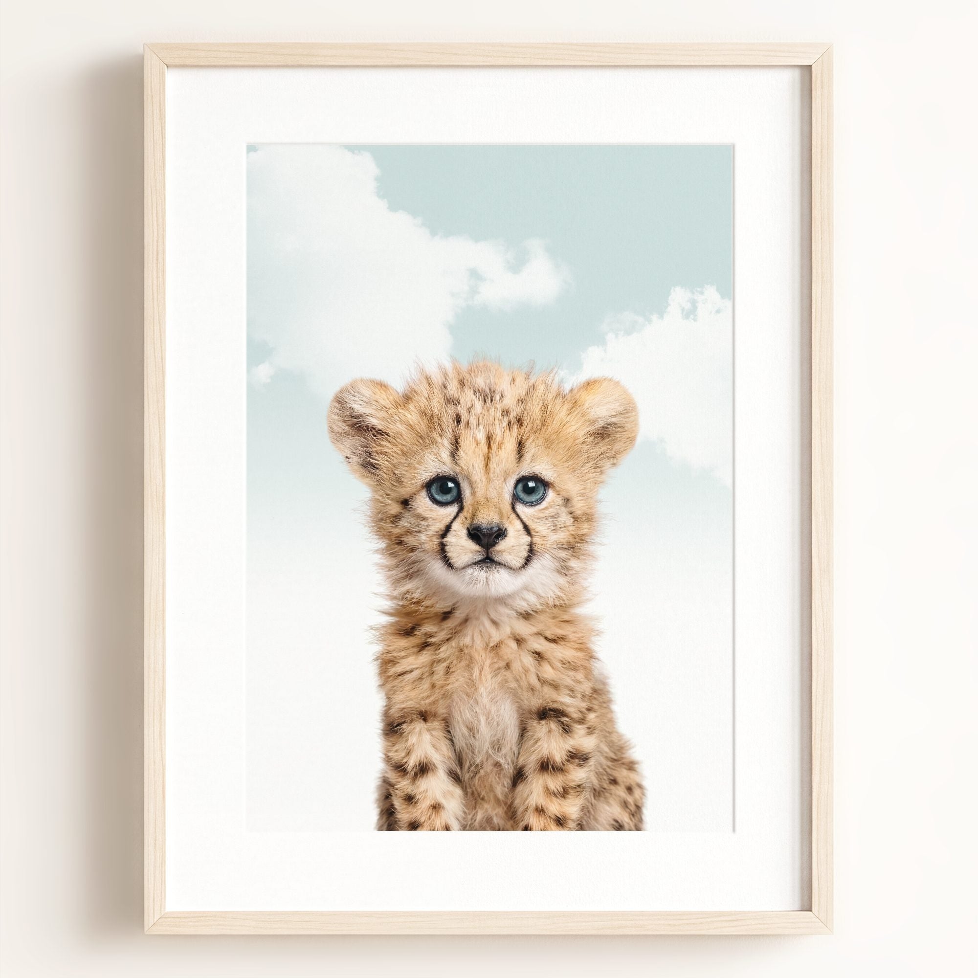 Baby Cheetah