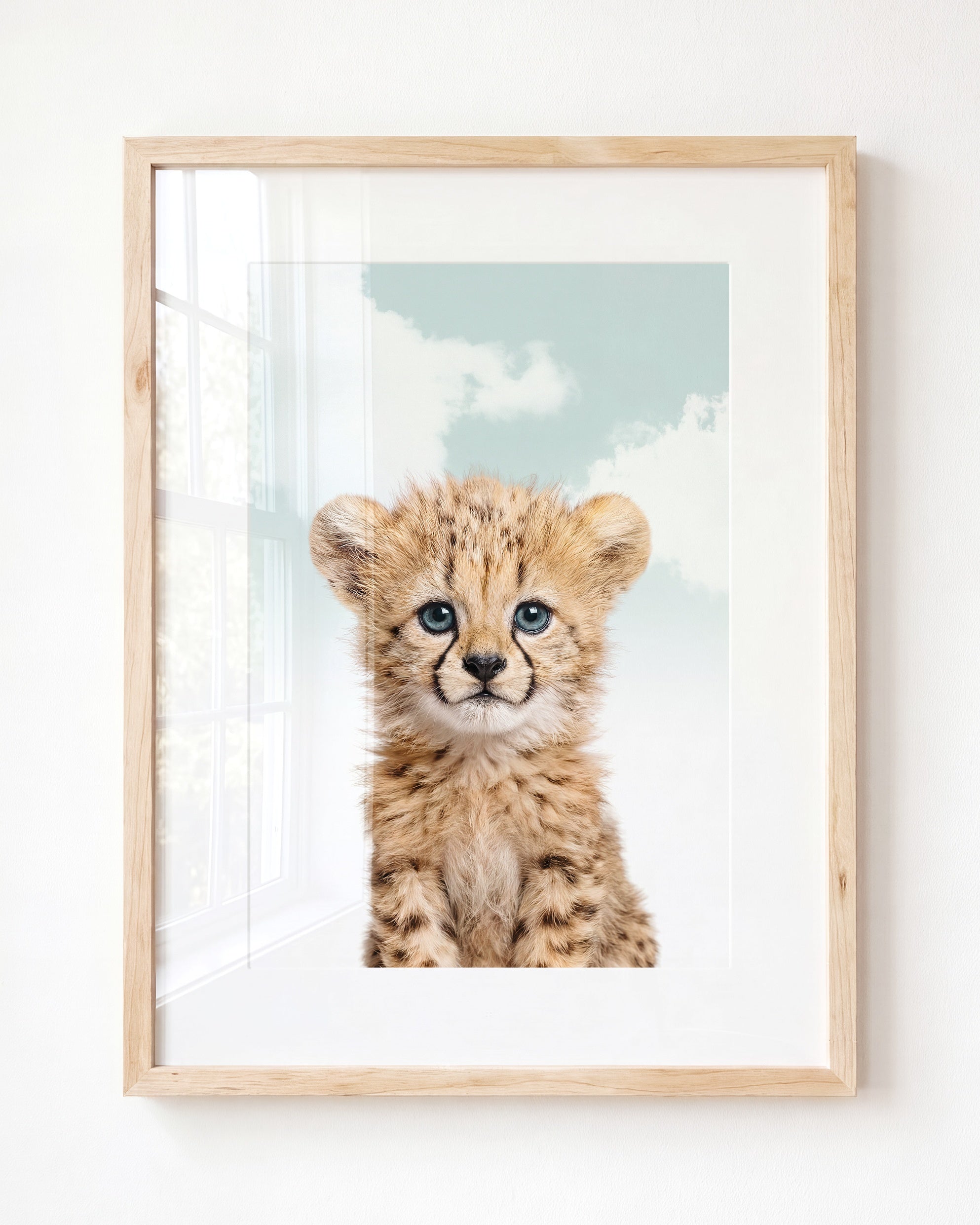Baby Cheetah