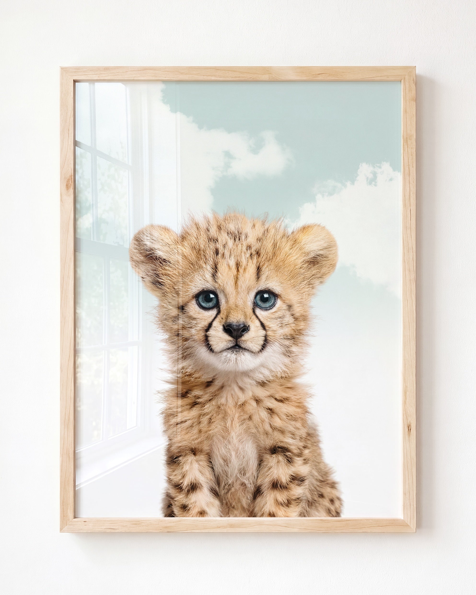 Baby Cheetah