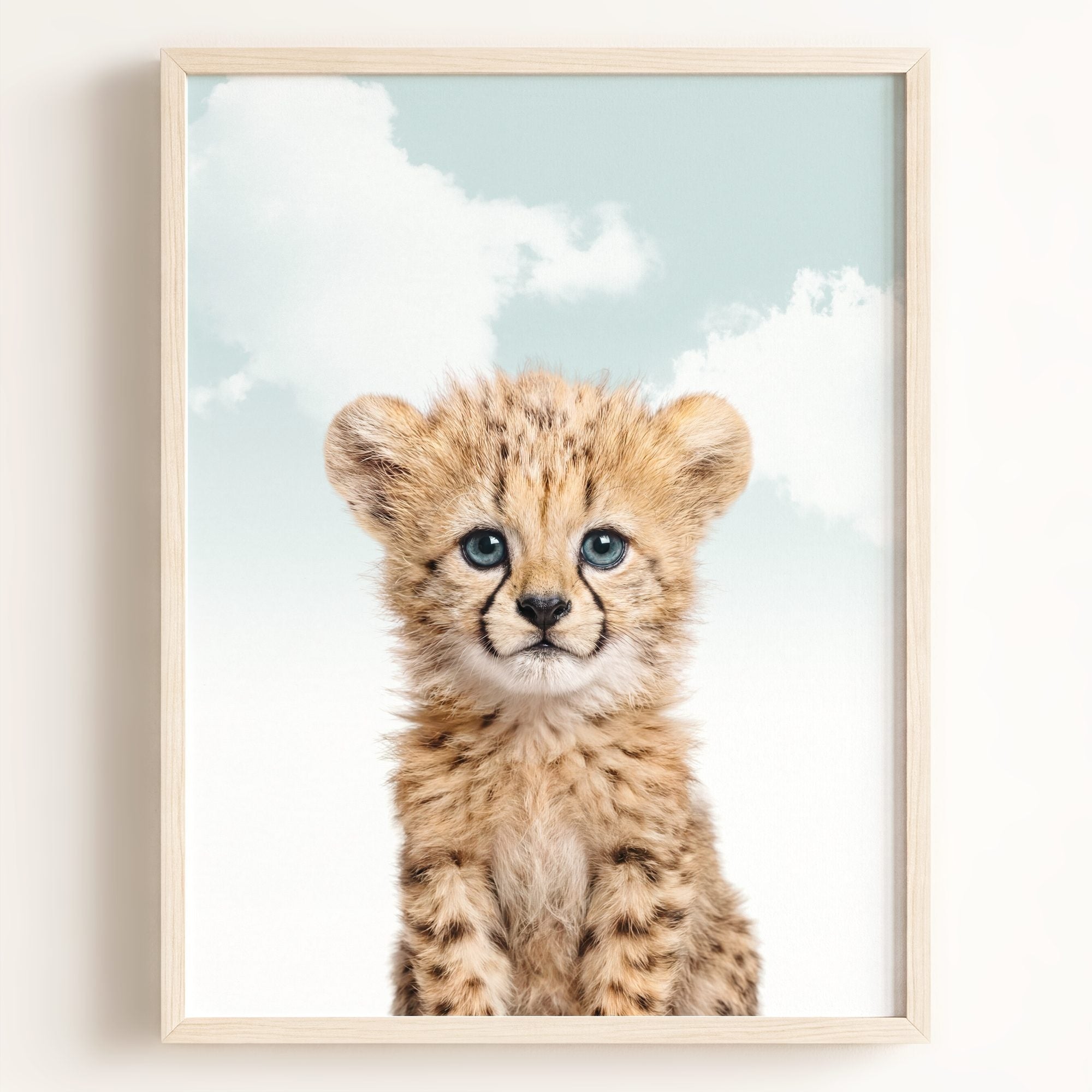 Baby Cheetah