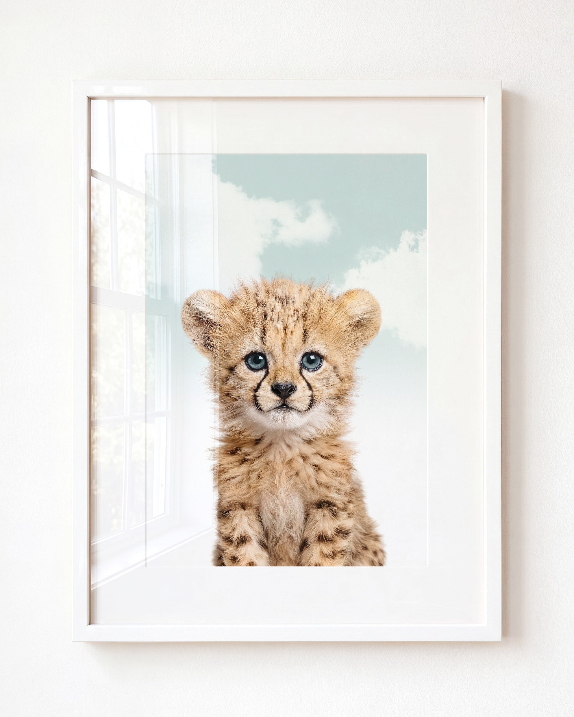 Baby Cheetah