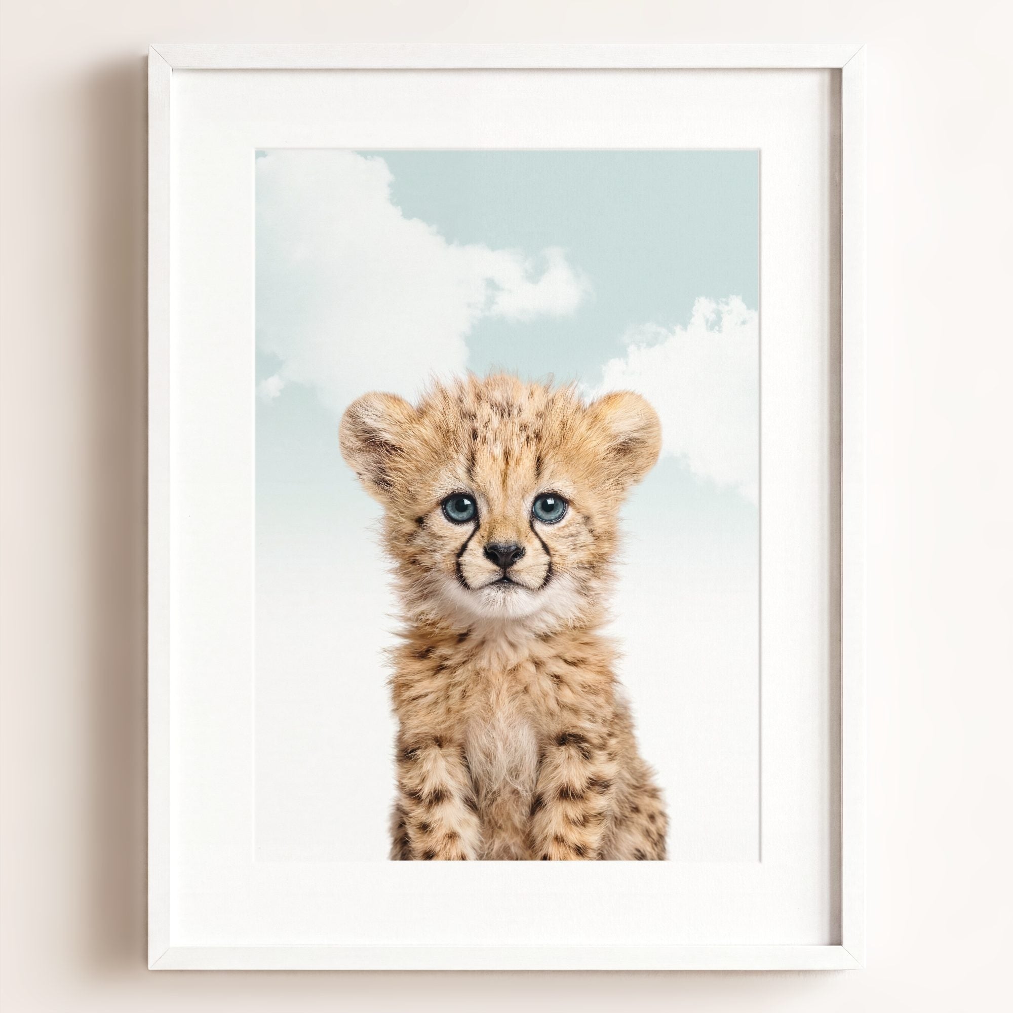Baby Cheetah