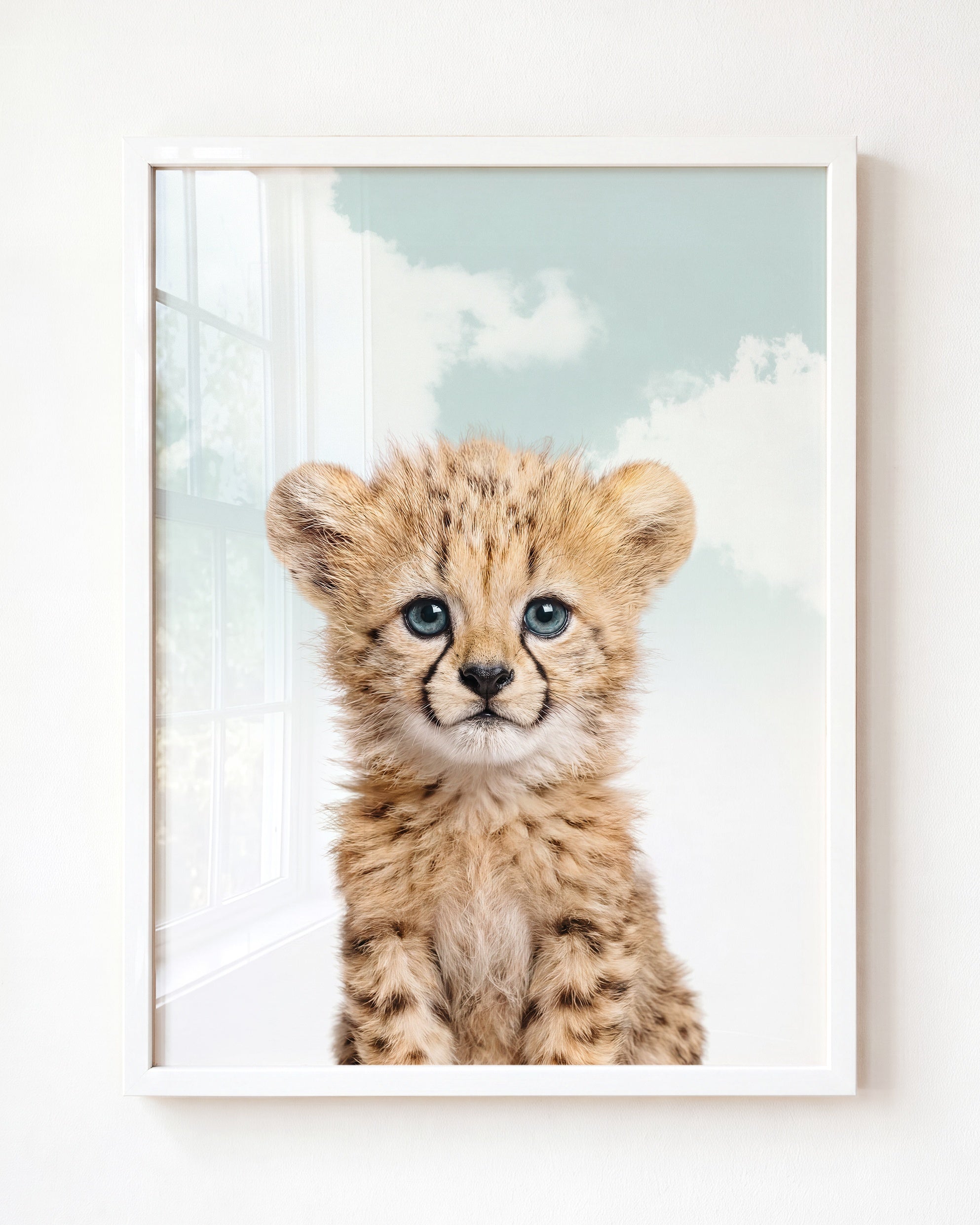 Baby Cheetah