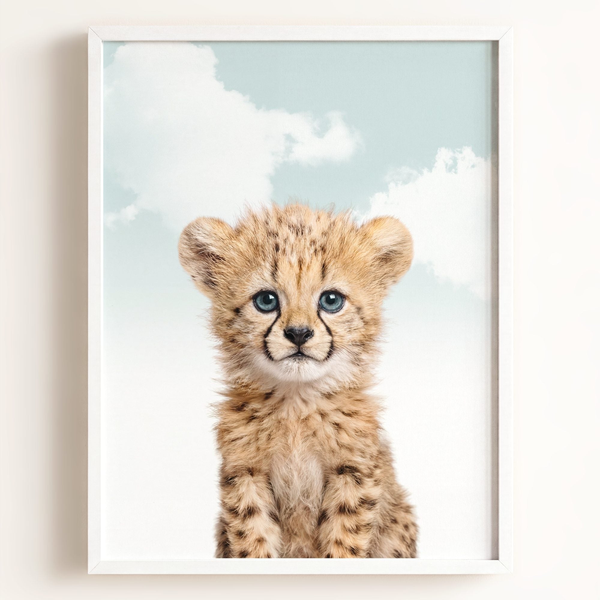 Baby Cheetah
