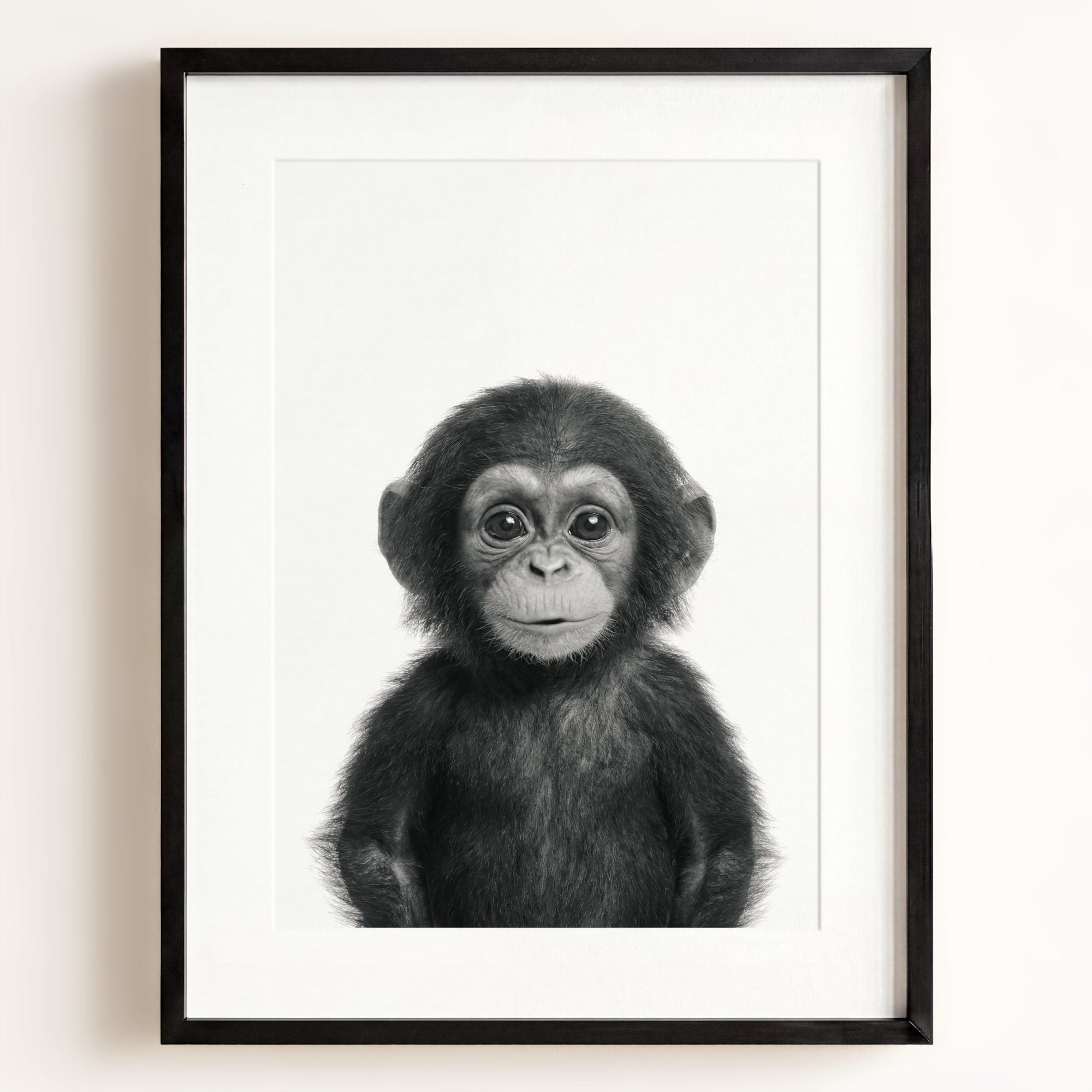 Baby Chimpanzee