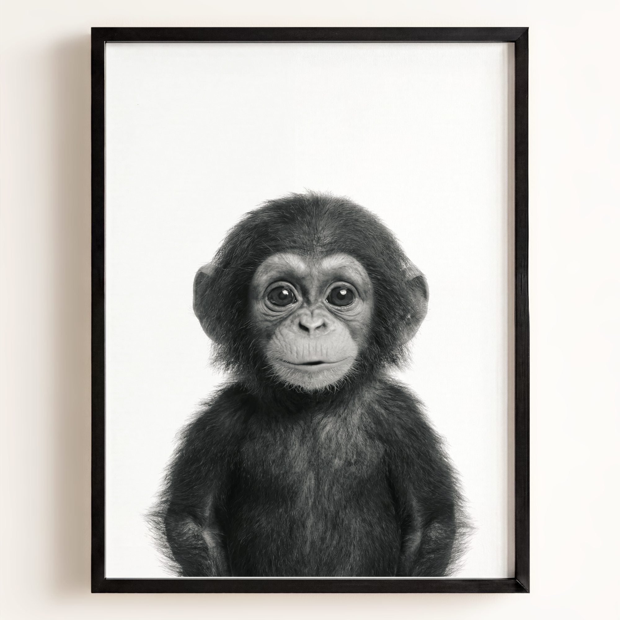 Baby Chimpanzee