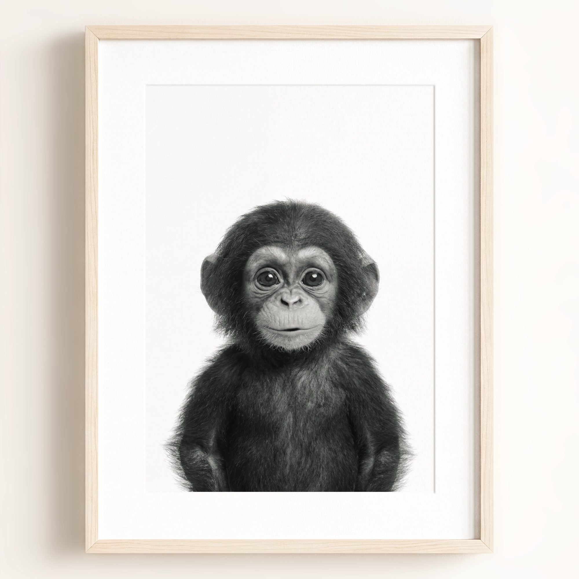 Baby Chimpanzee