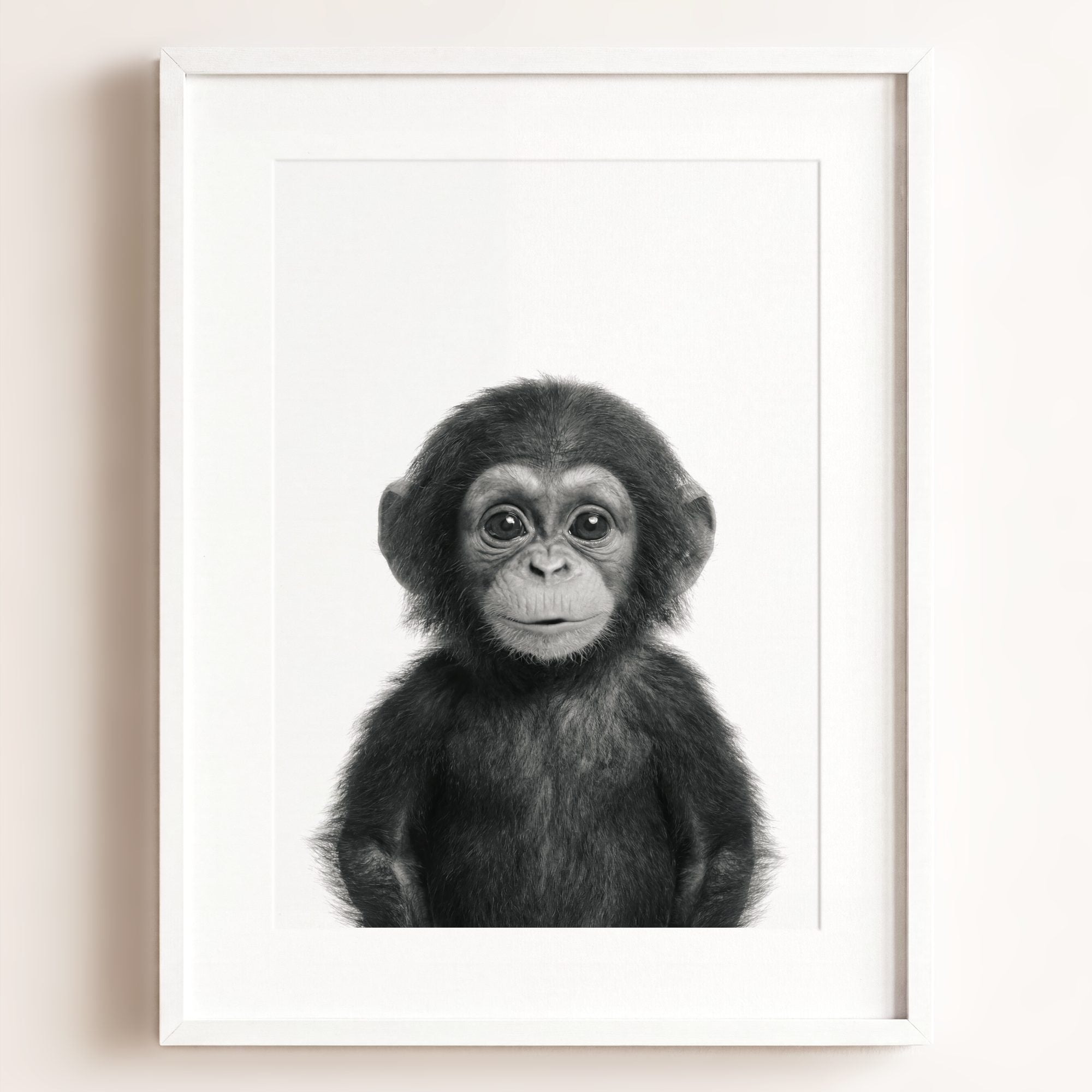Baby Chimpanzee