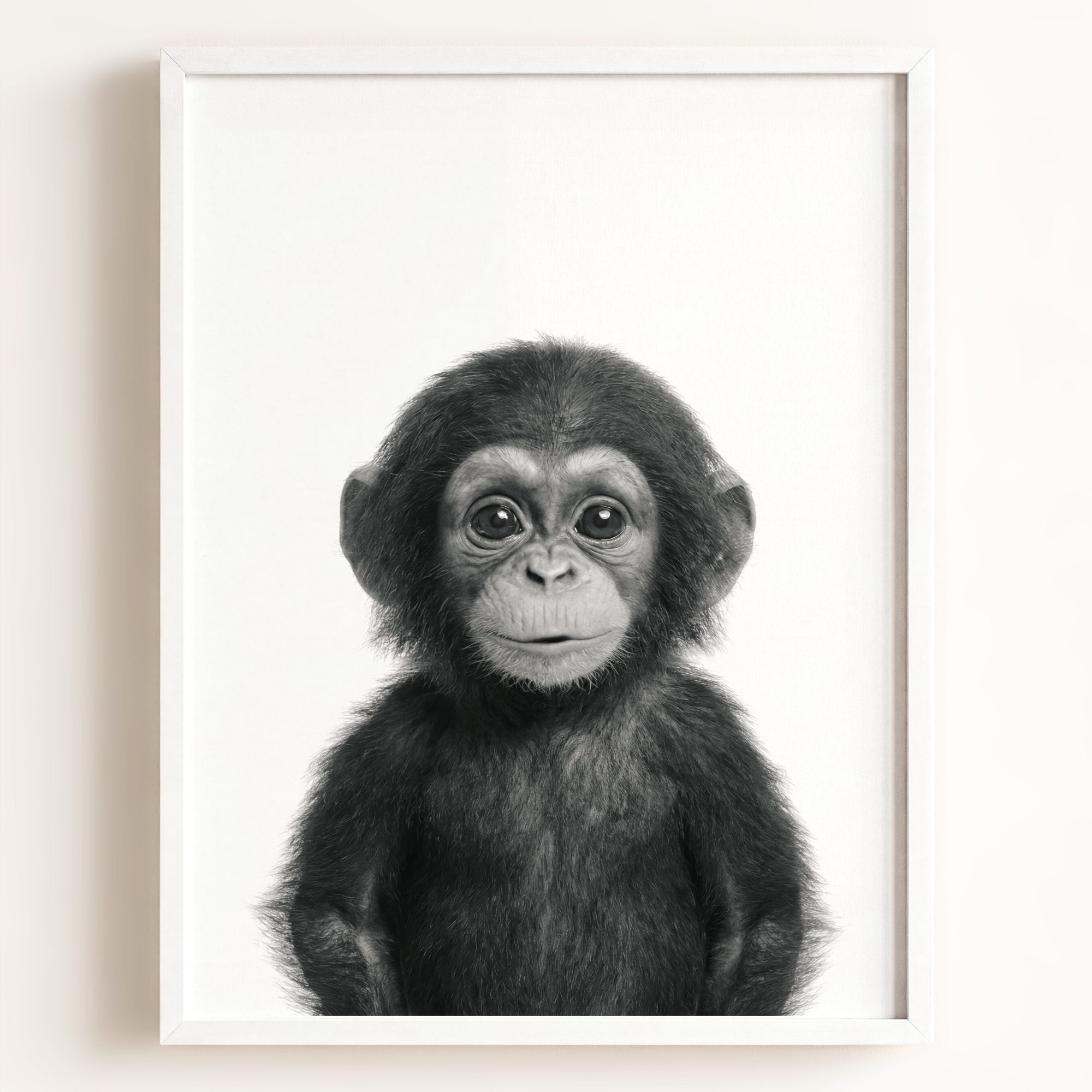 Baby Chimpanzee