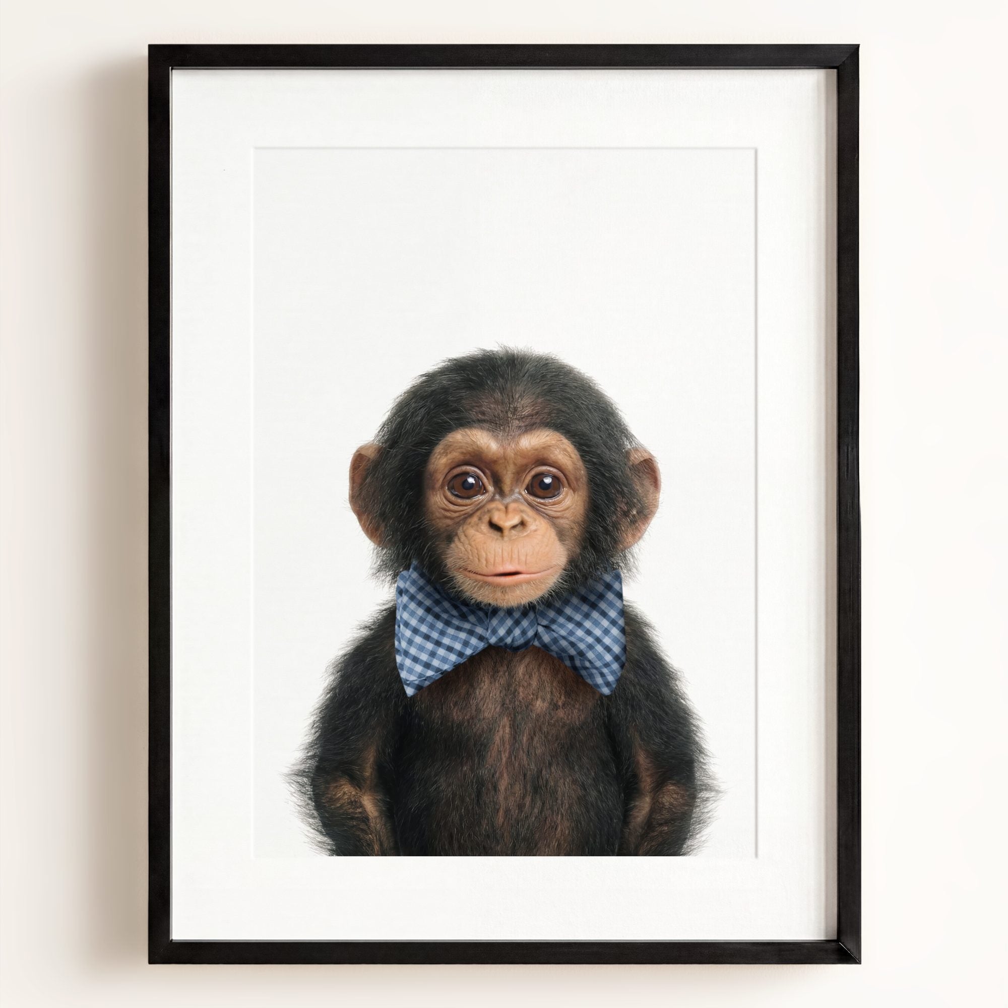 Baby Chimpanzee