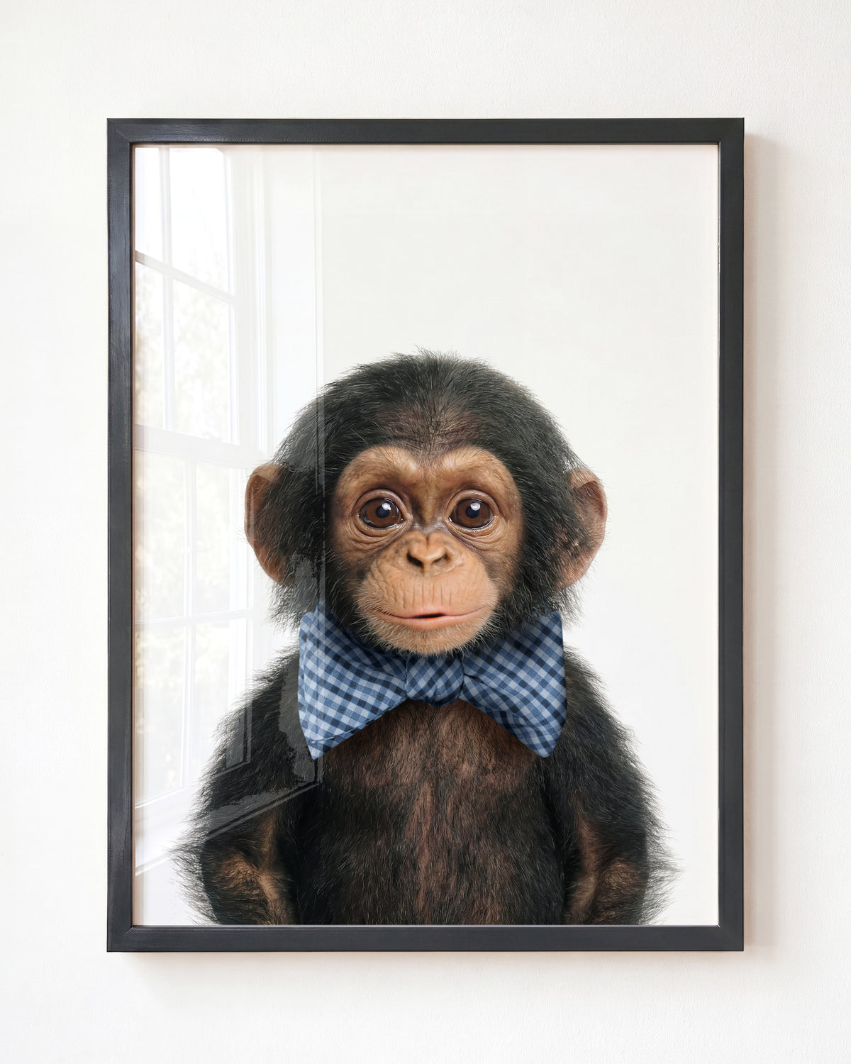 Baby Chimpanzee