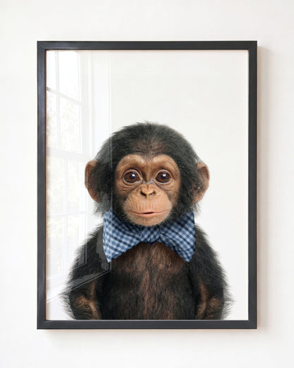 Baby Chimpanzee