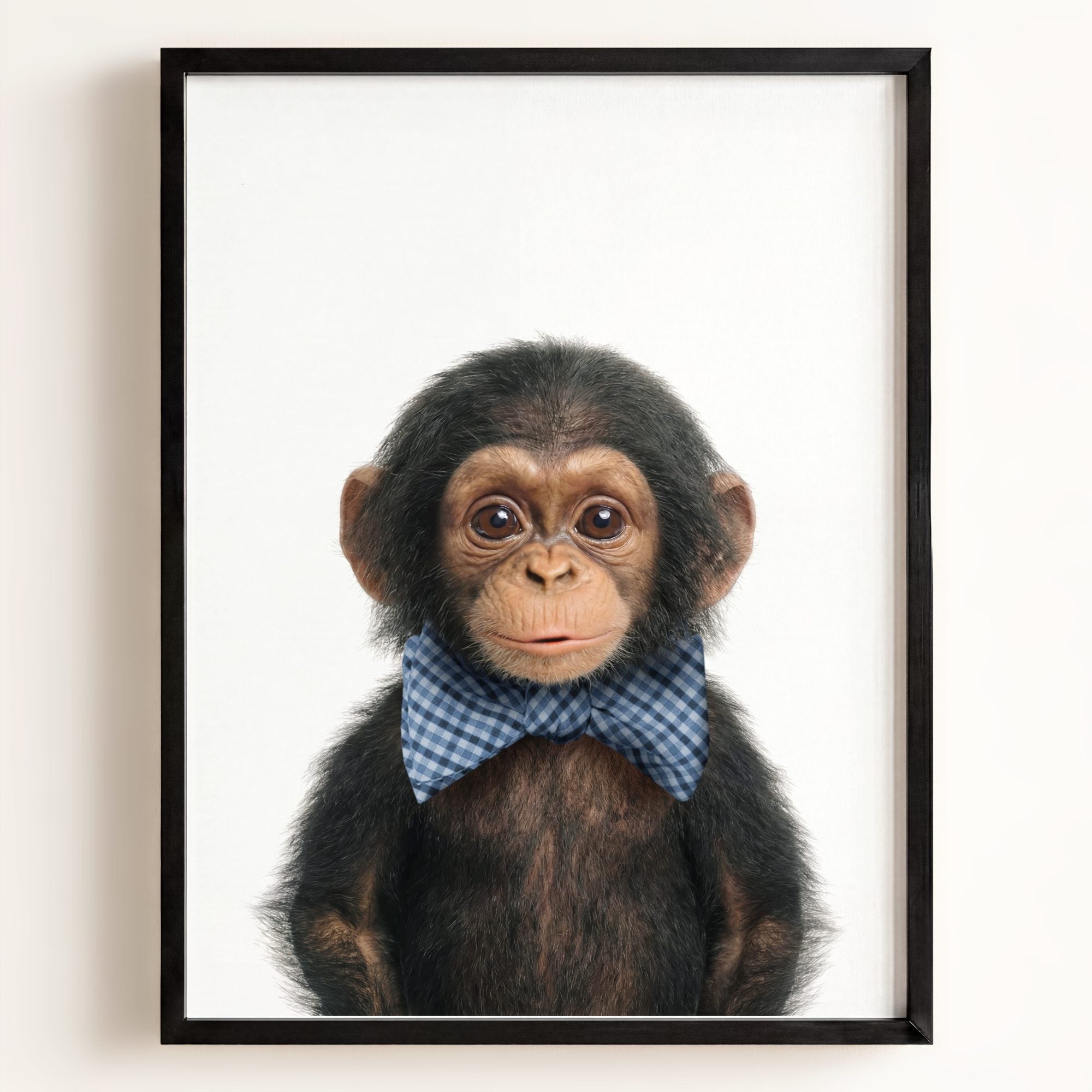 Baby Chimpanzee