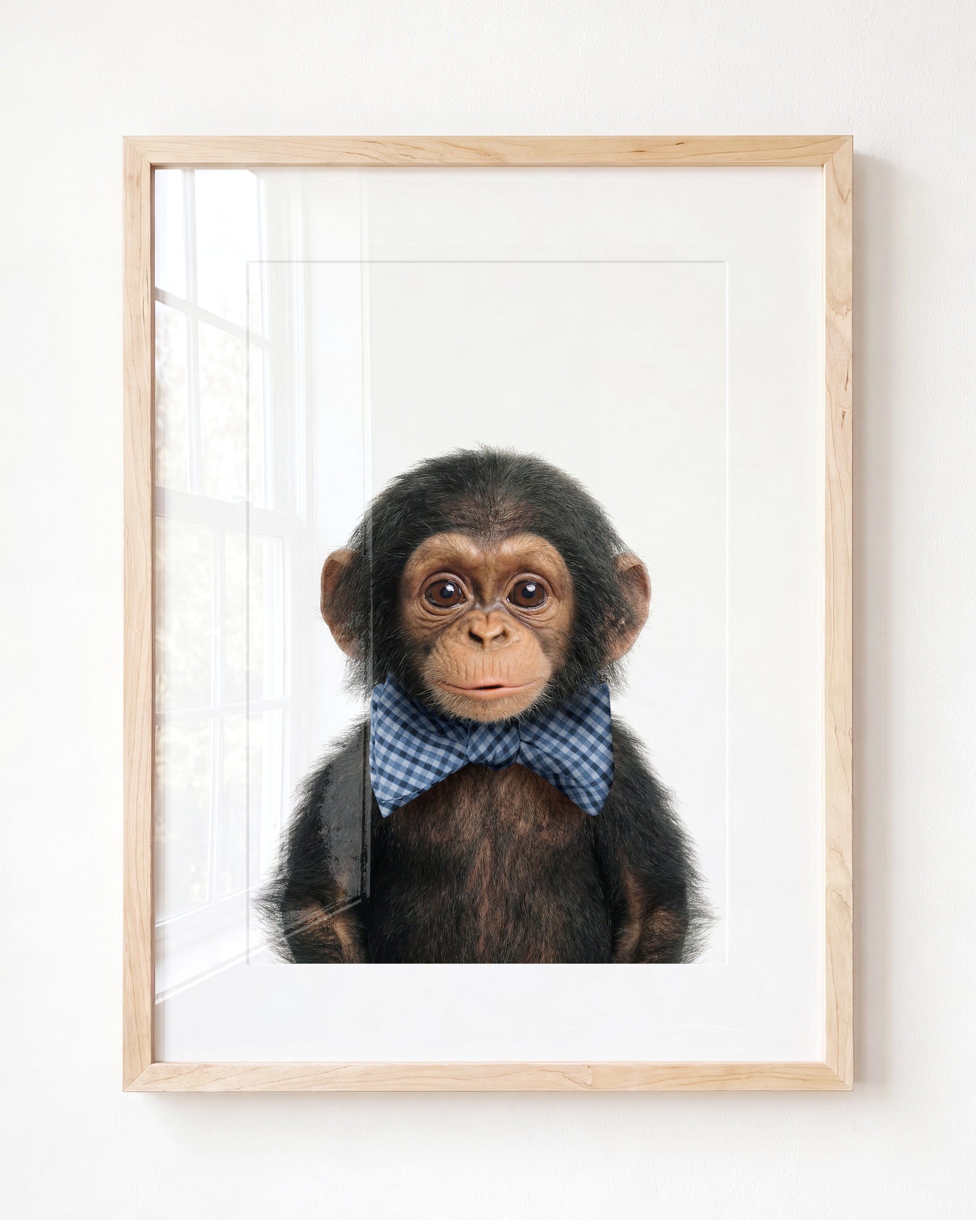 Baby Chimpanzee