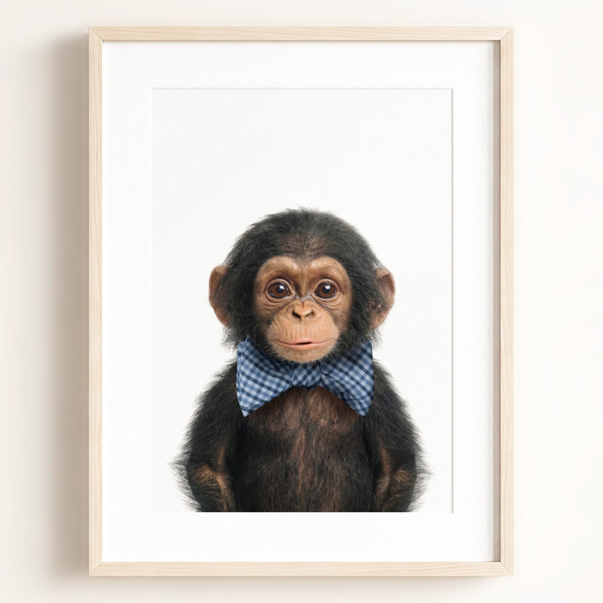 Baby Chimpanzee