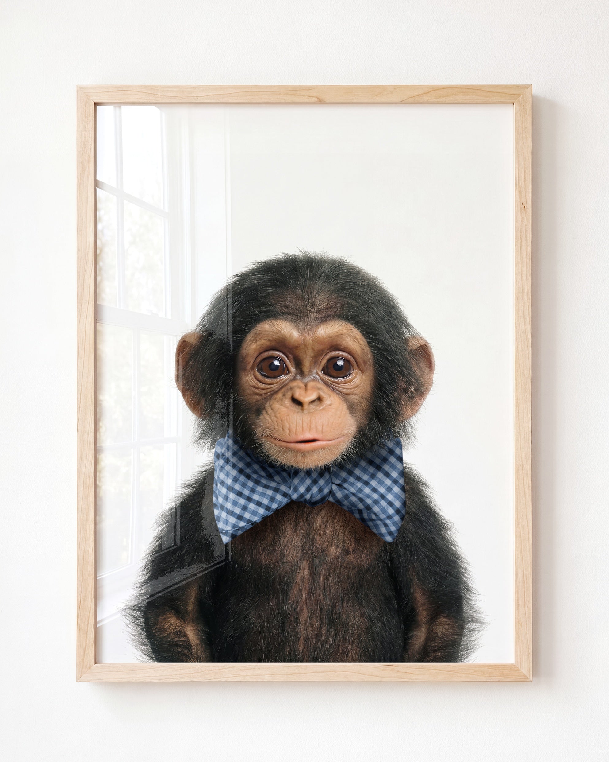 Baby Chimpanzee
