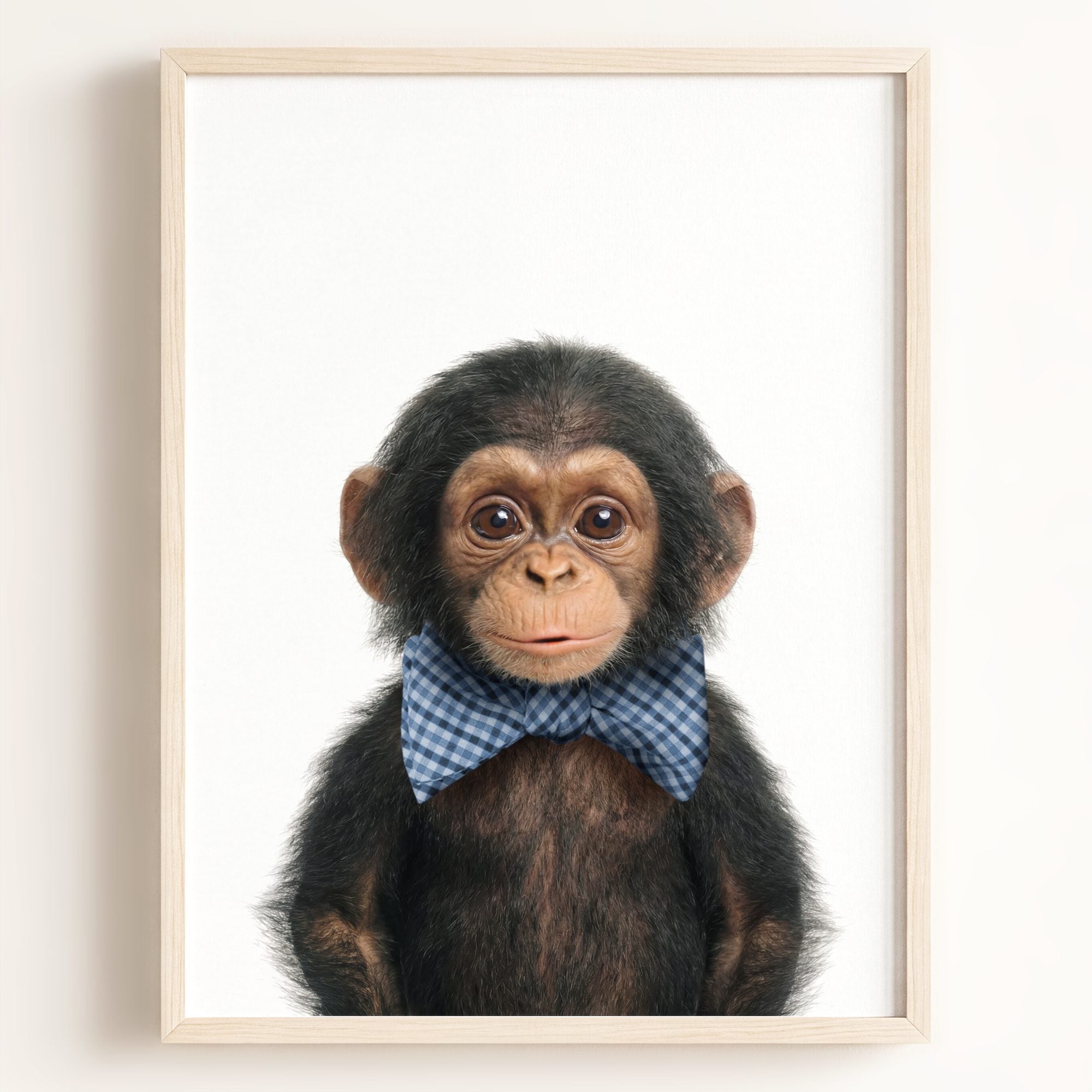 Baby Chimpanzee
