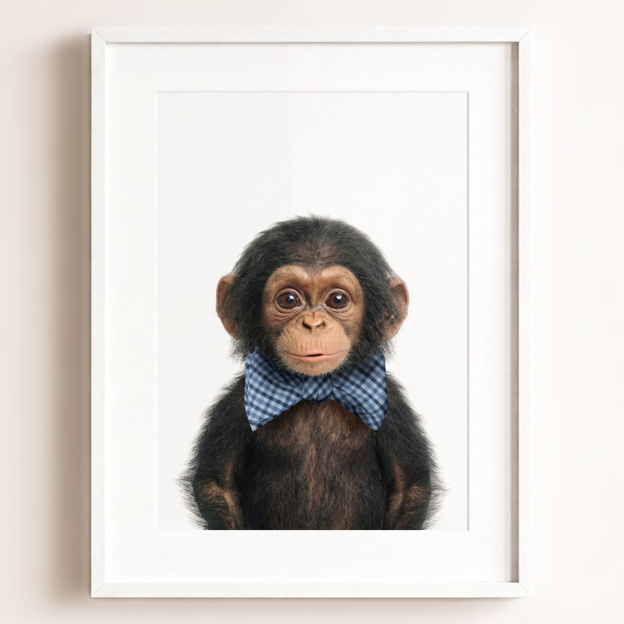 Baby Chimpanzee