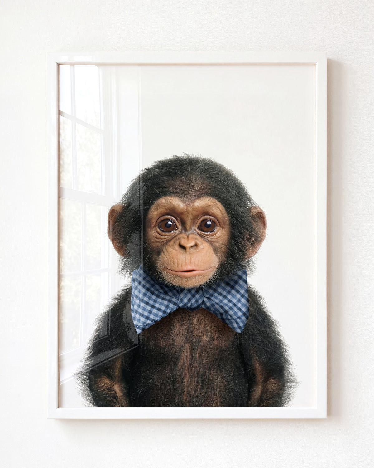 Baby Chimpanzee