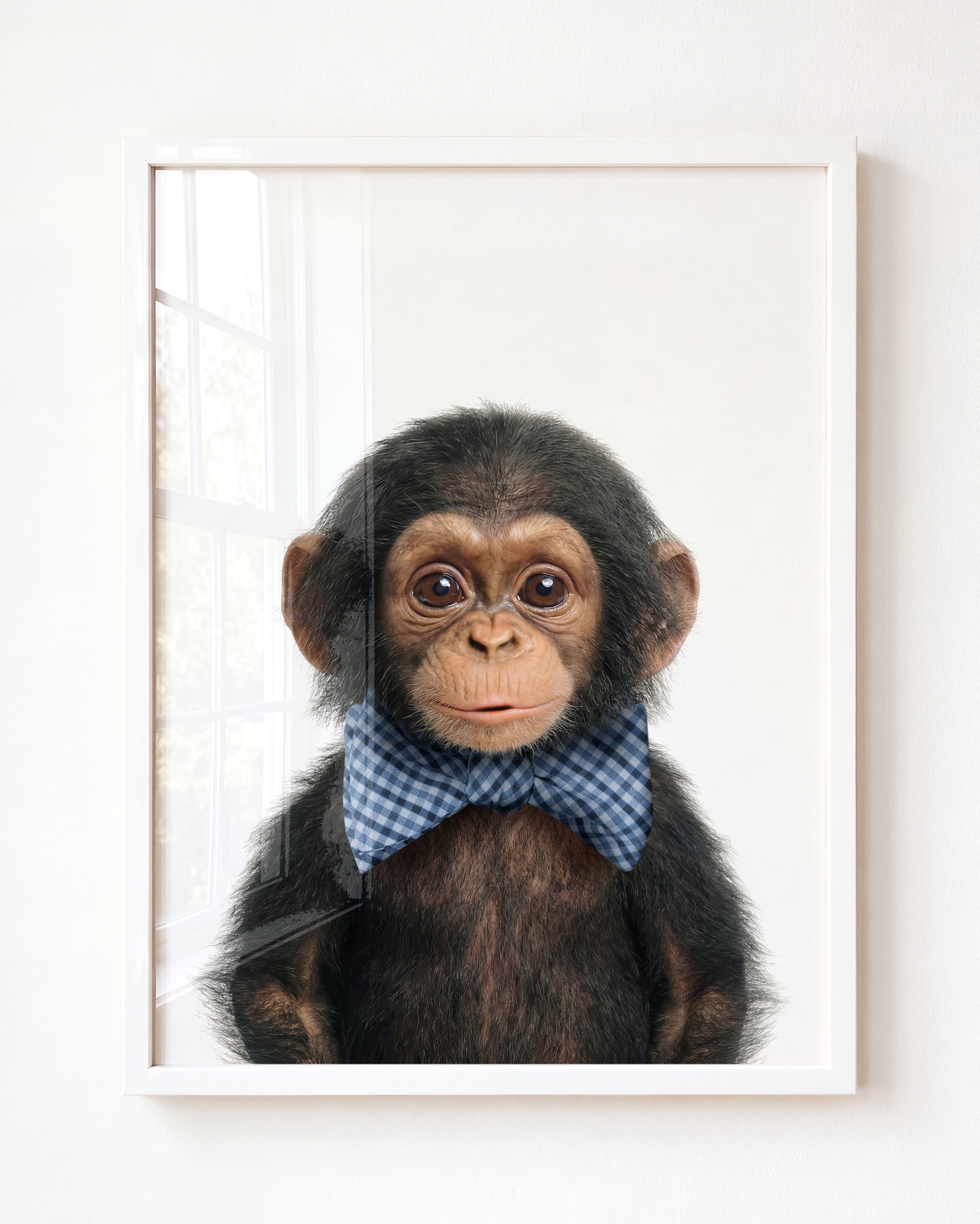 Baby Chimpanzee