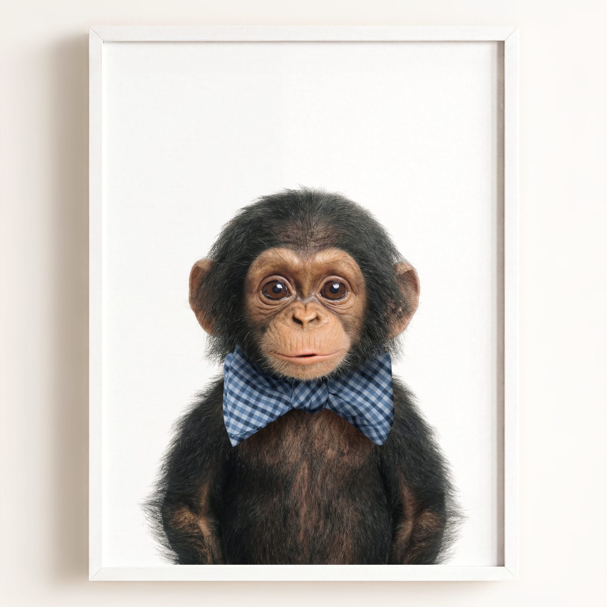 Baby Chimpanzee
